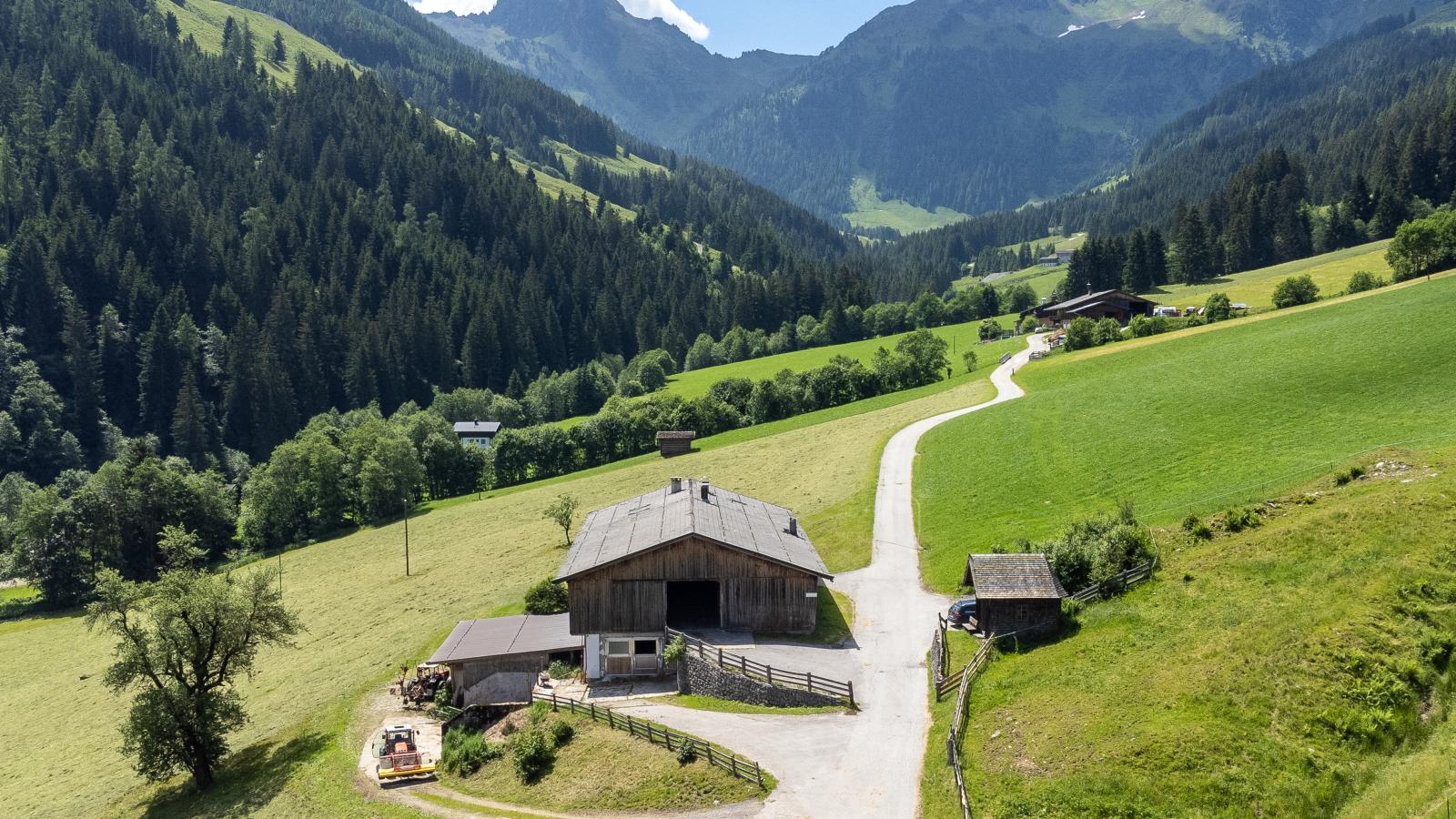 Hacklerhof Top 2 und 3 - Außenbereich Sommer