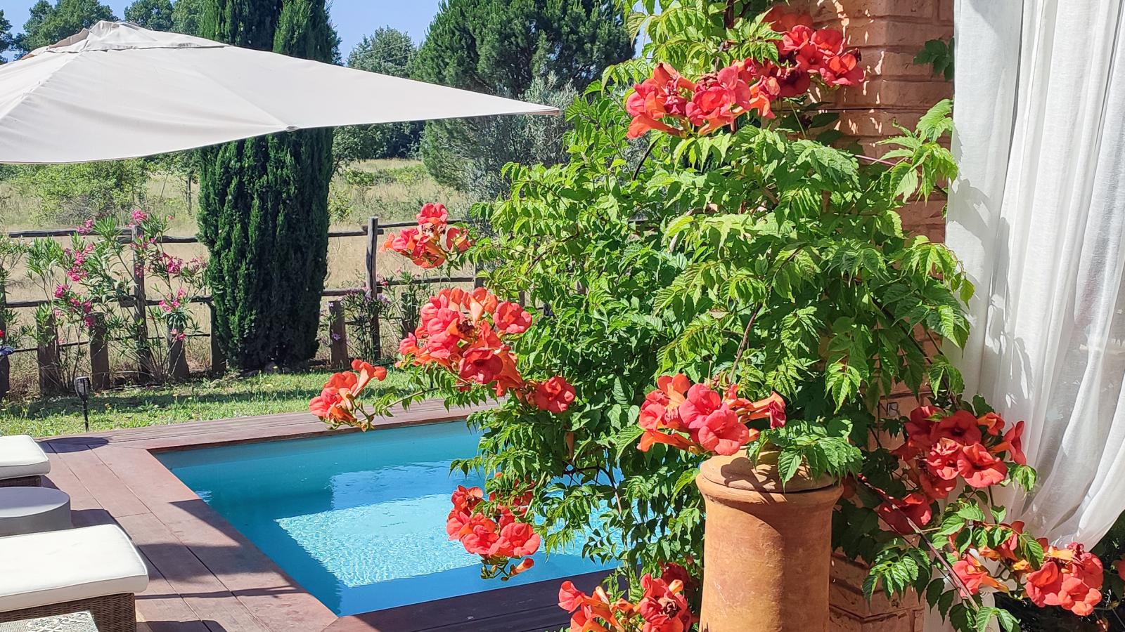 Citron-Gardens in summer