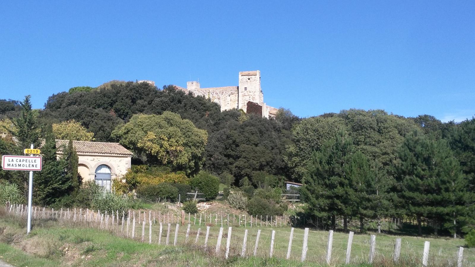 Citron-Areas within 1km in summer