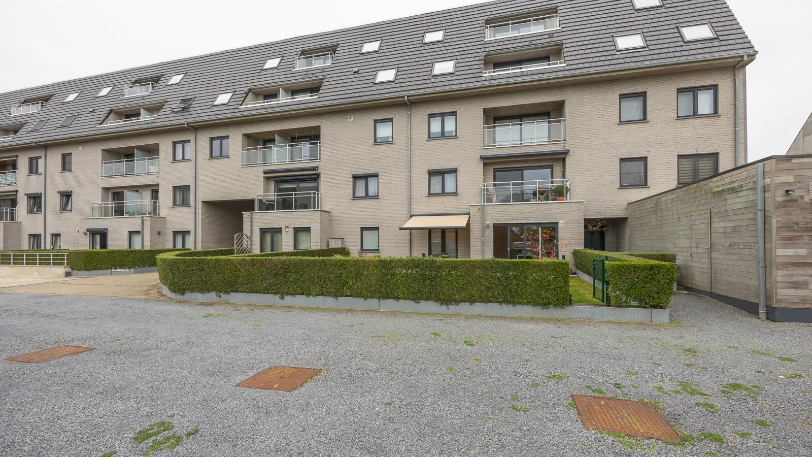 Lotus - 0003 + park. 3-Buitenlucht