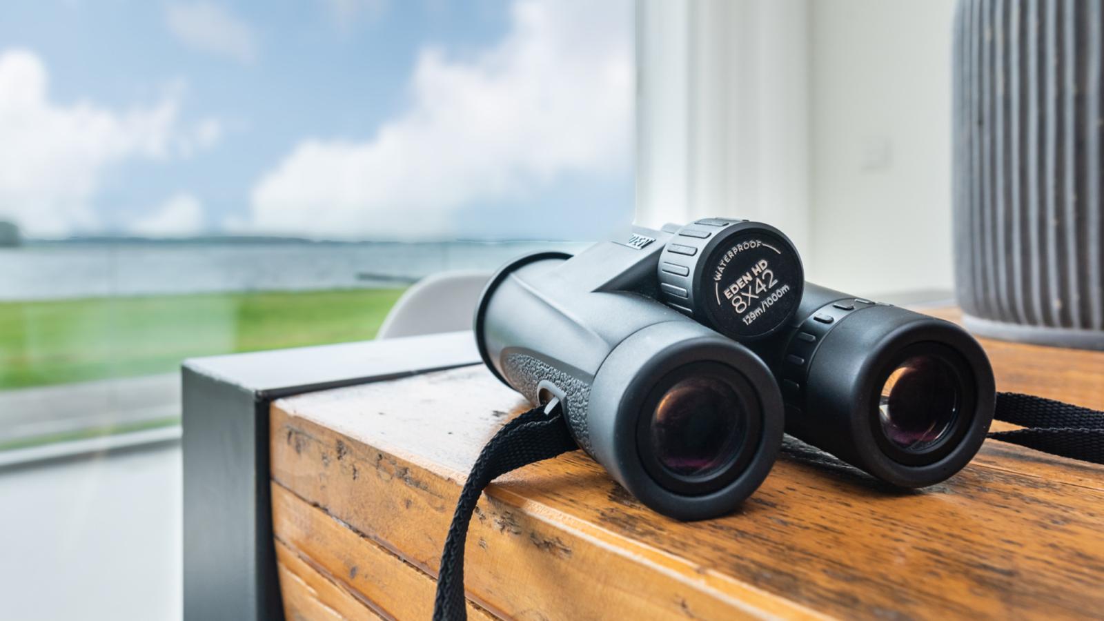 Villa Veerse Meerzicht - Ambiance