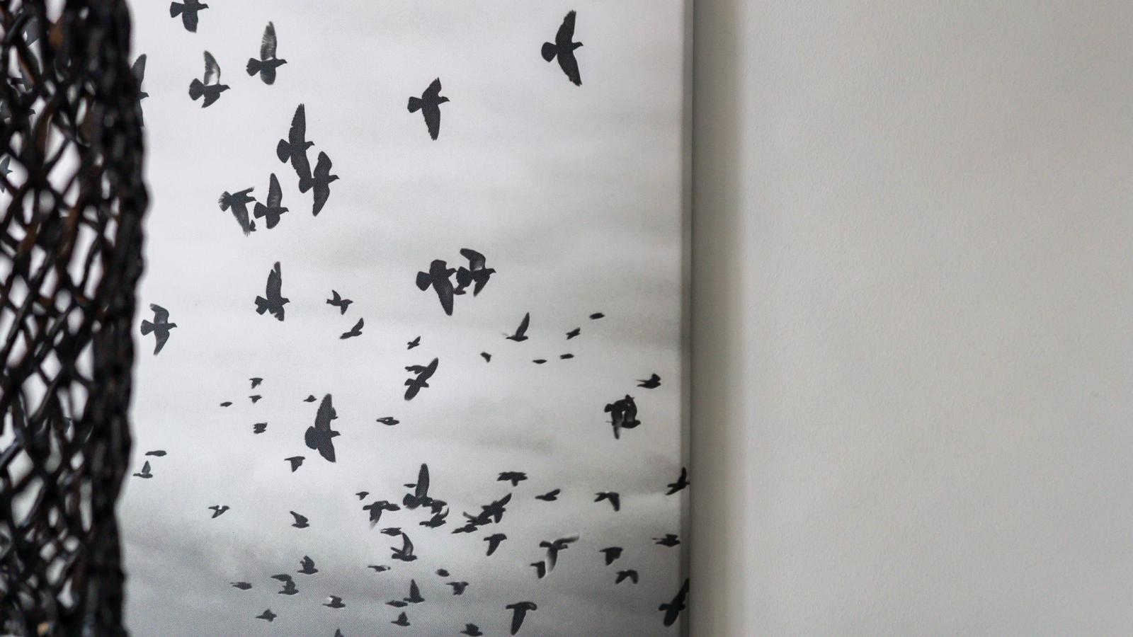 Marina Relax Suite Kortgene - Sfeer