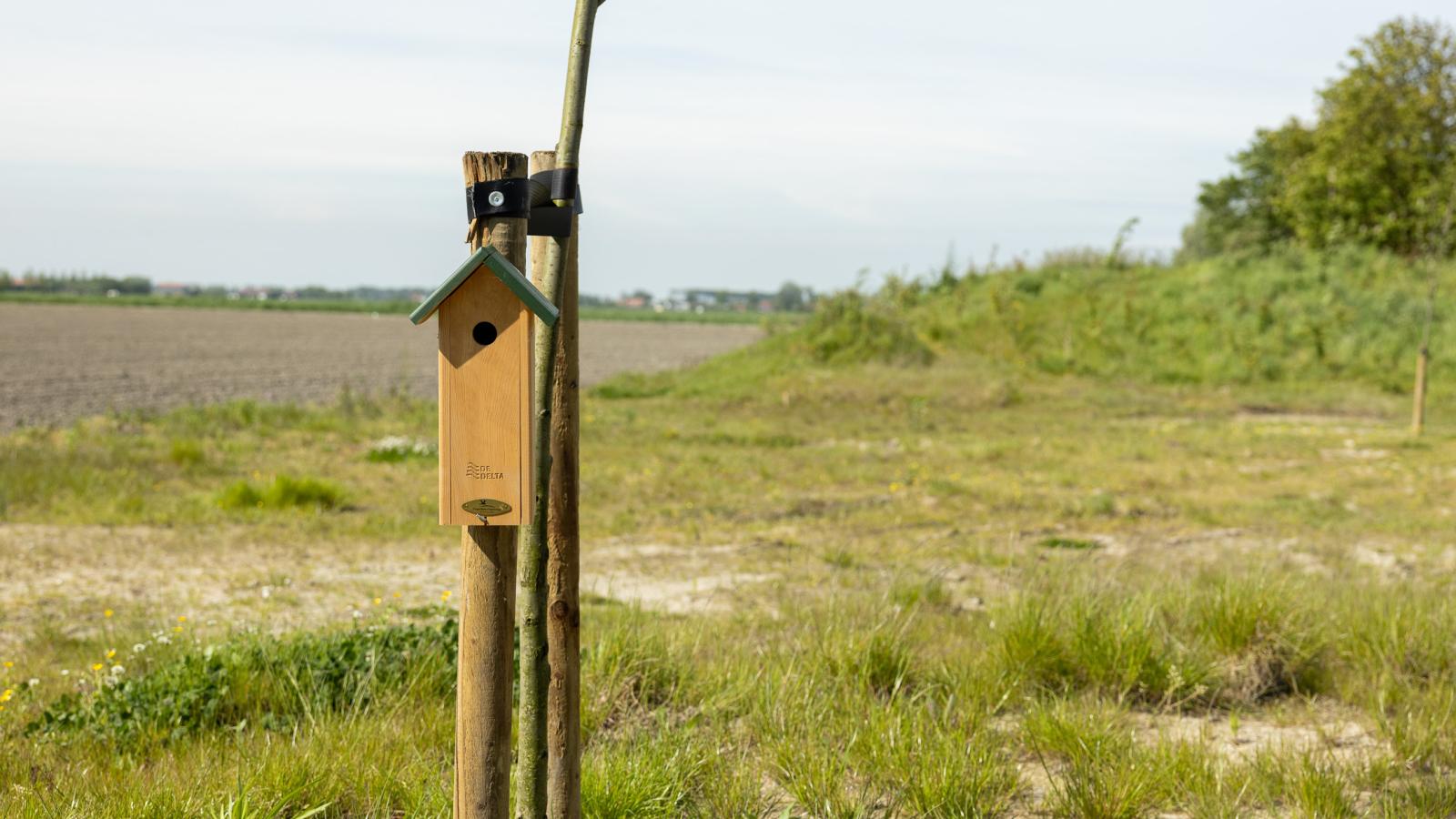 Natuurhuis Rietzoom - Tuinen zomer
