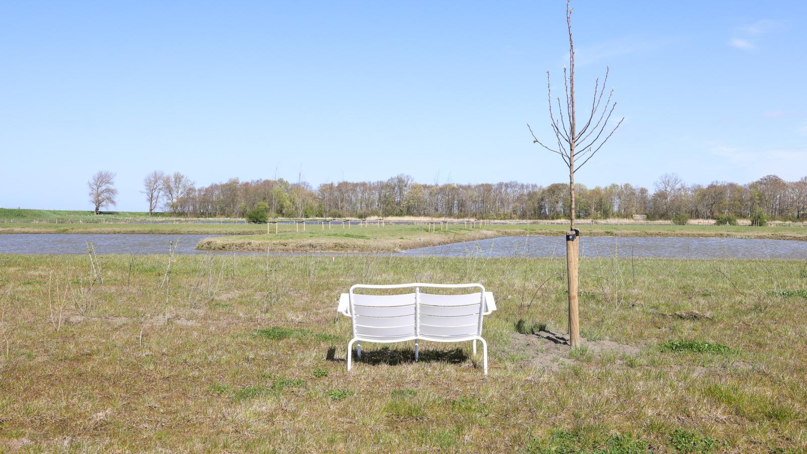 Natuurhuis Oeverzicht - Tuinen zomer