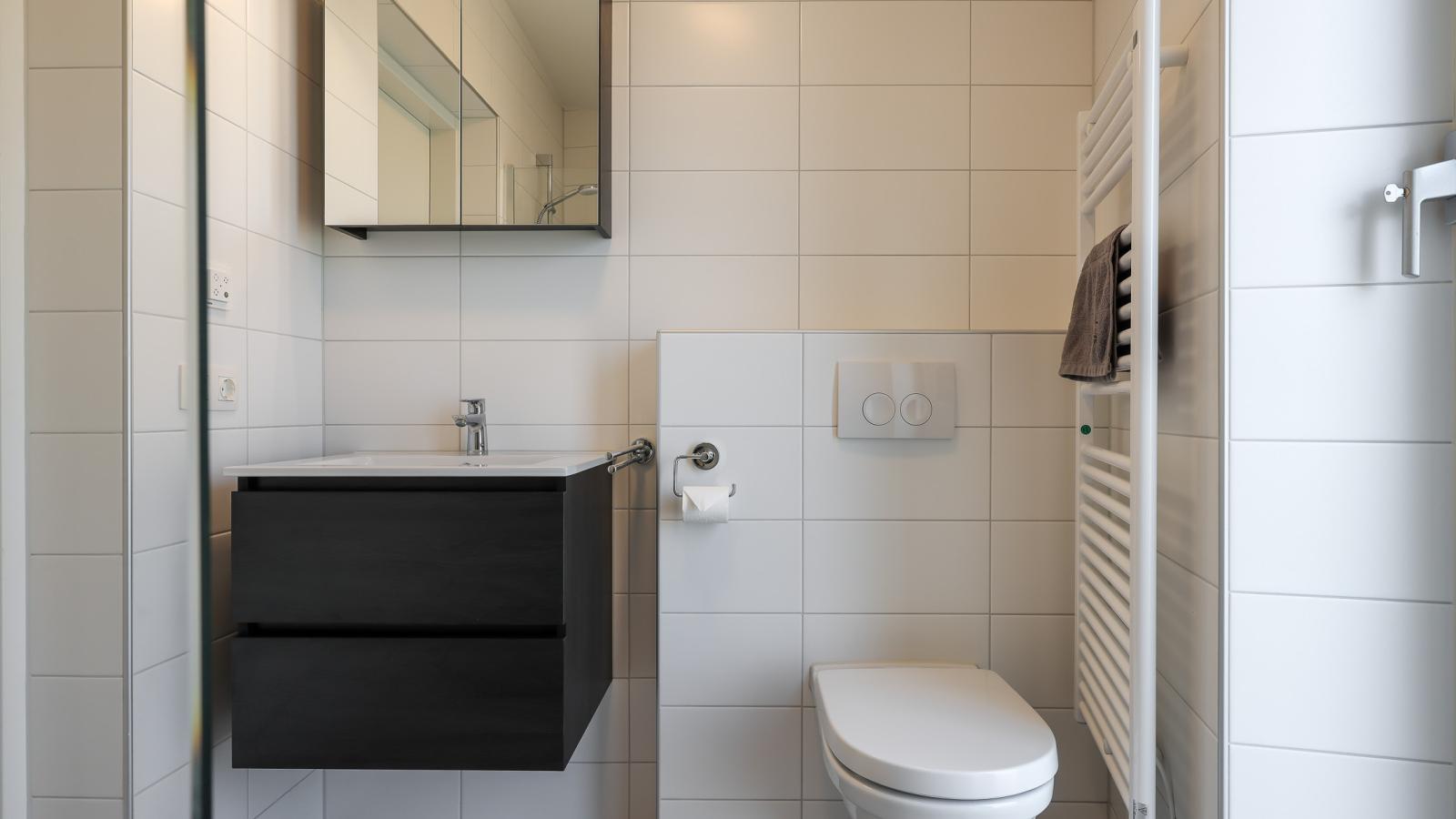 Natuurhuis Trekzicht - Badkamer