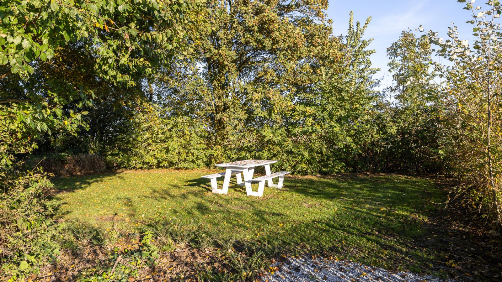 Zonnestek - Tuinen zomer