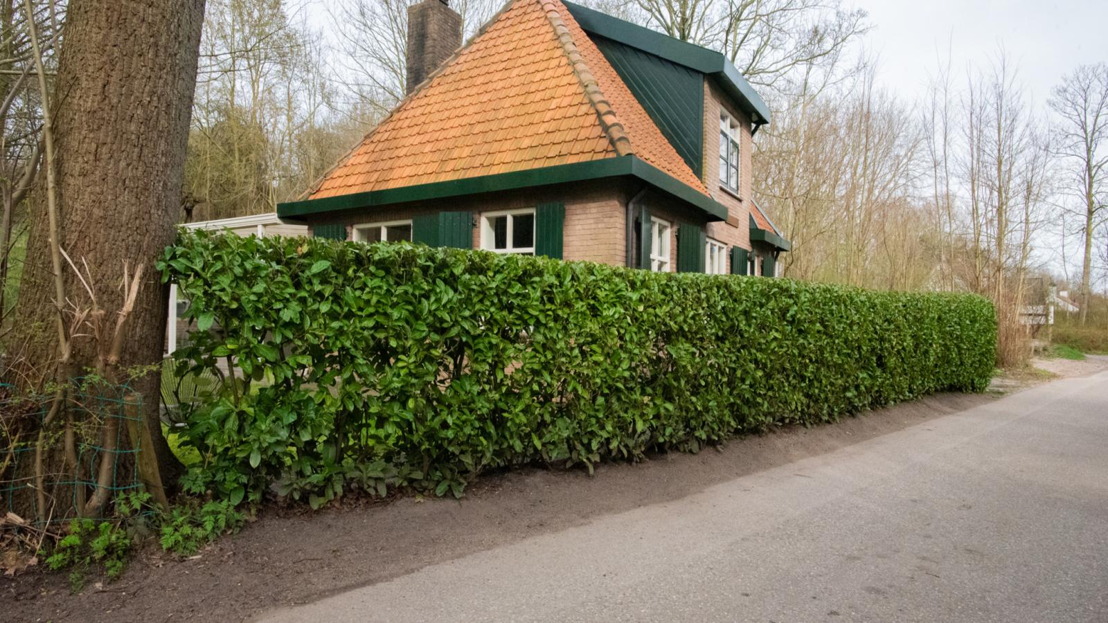 Zandkamer - Buitenkant zomer