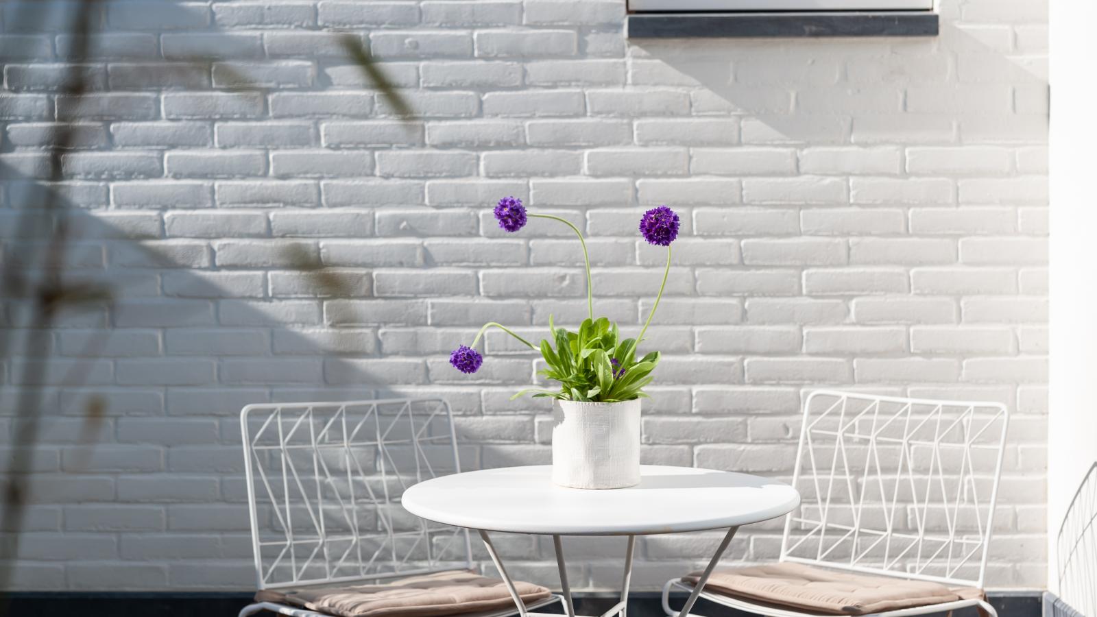 Zilte Suite - Garten Sommer