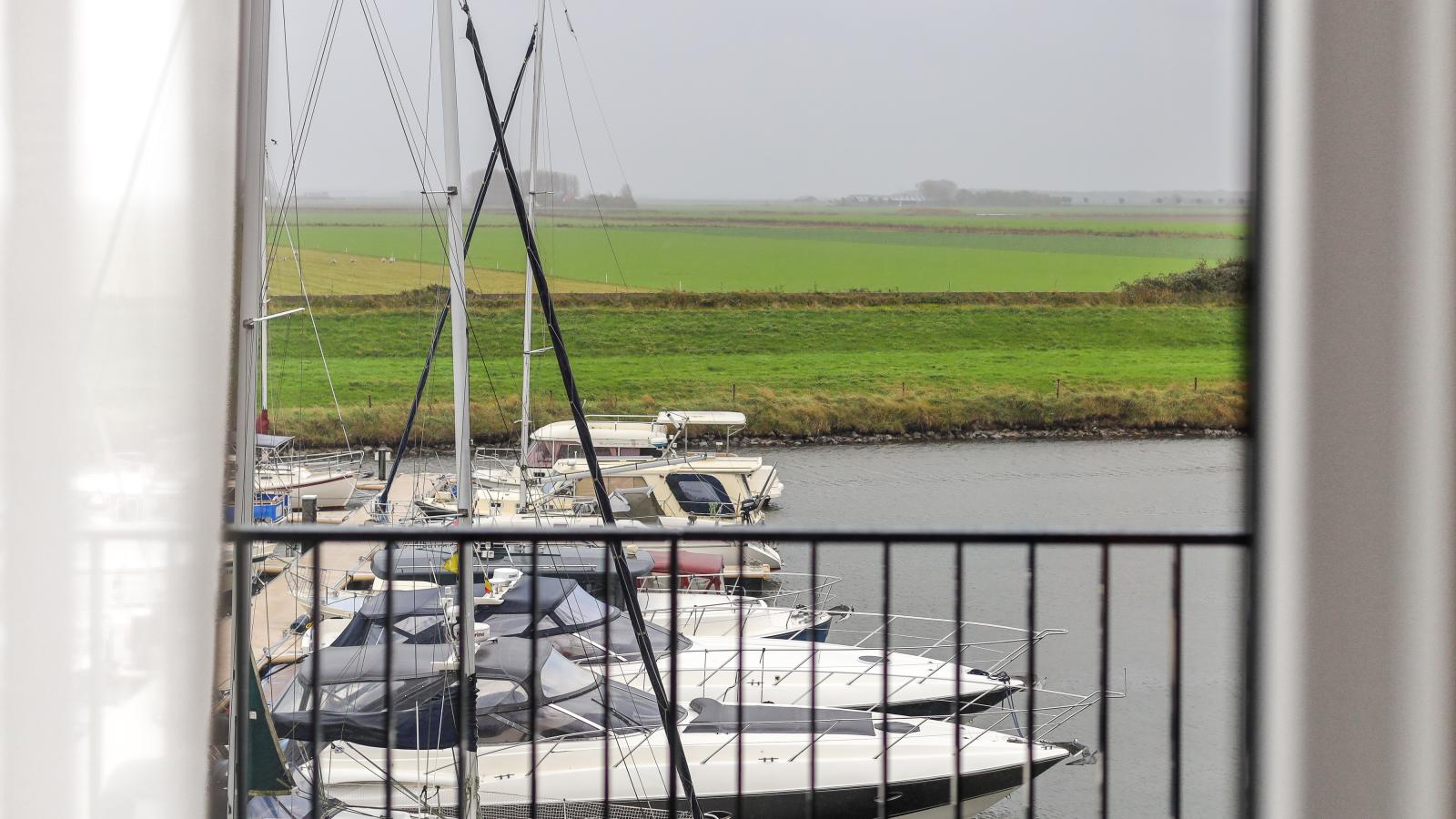 Zilte Haven - Uitzicht zomer