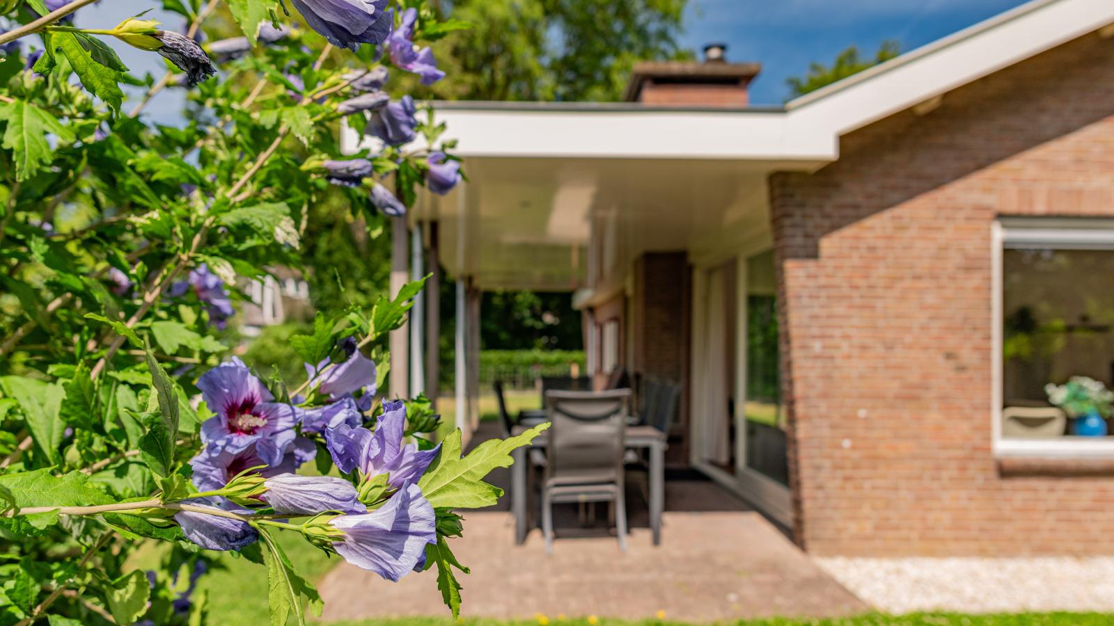 Duinvink - Buitenkant zomer