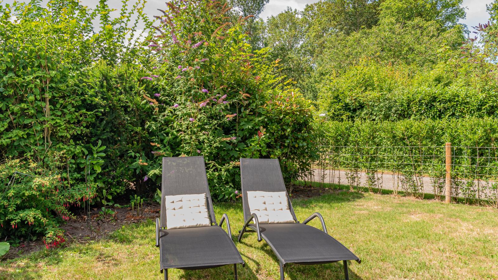 Duinvink - Buitenkant zomer