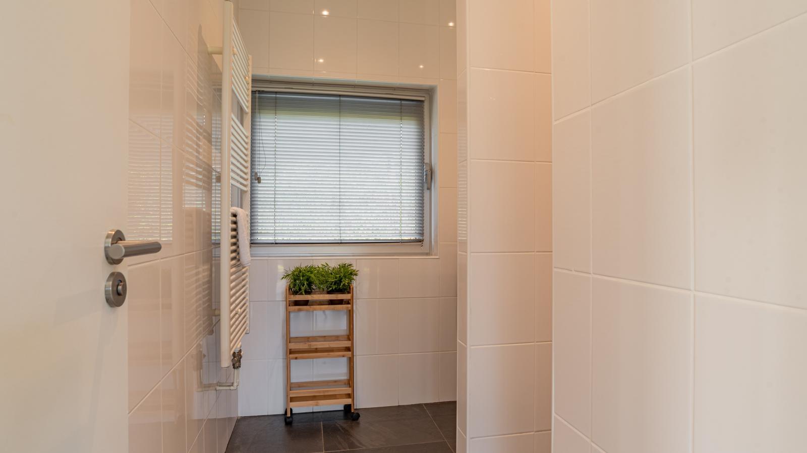 Zwaluw aan Zee - Badkamer