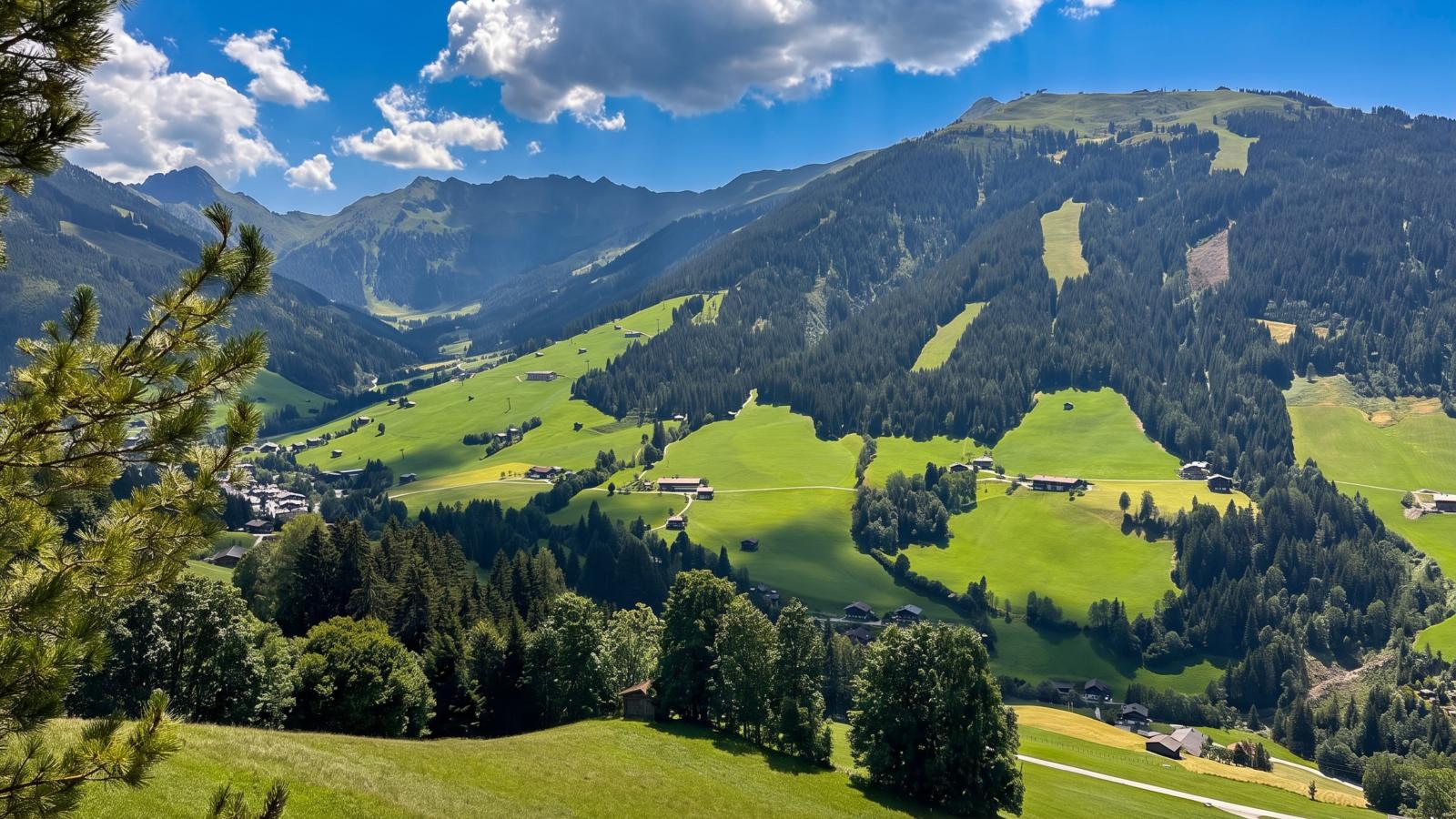Fernblick Alpbach - Uitzicht zomer
