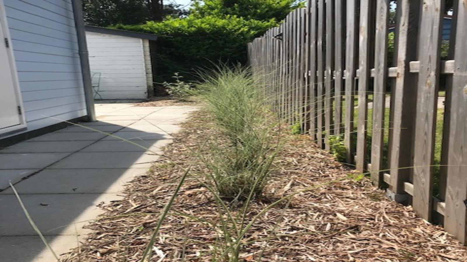 De zomerbij-Buitenlucht