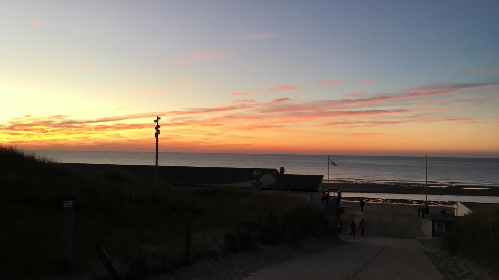 De zomerbij-Gebieden zomer 1km