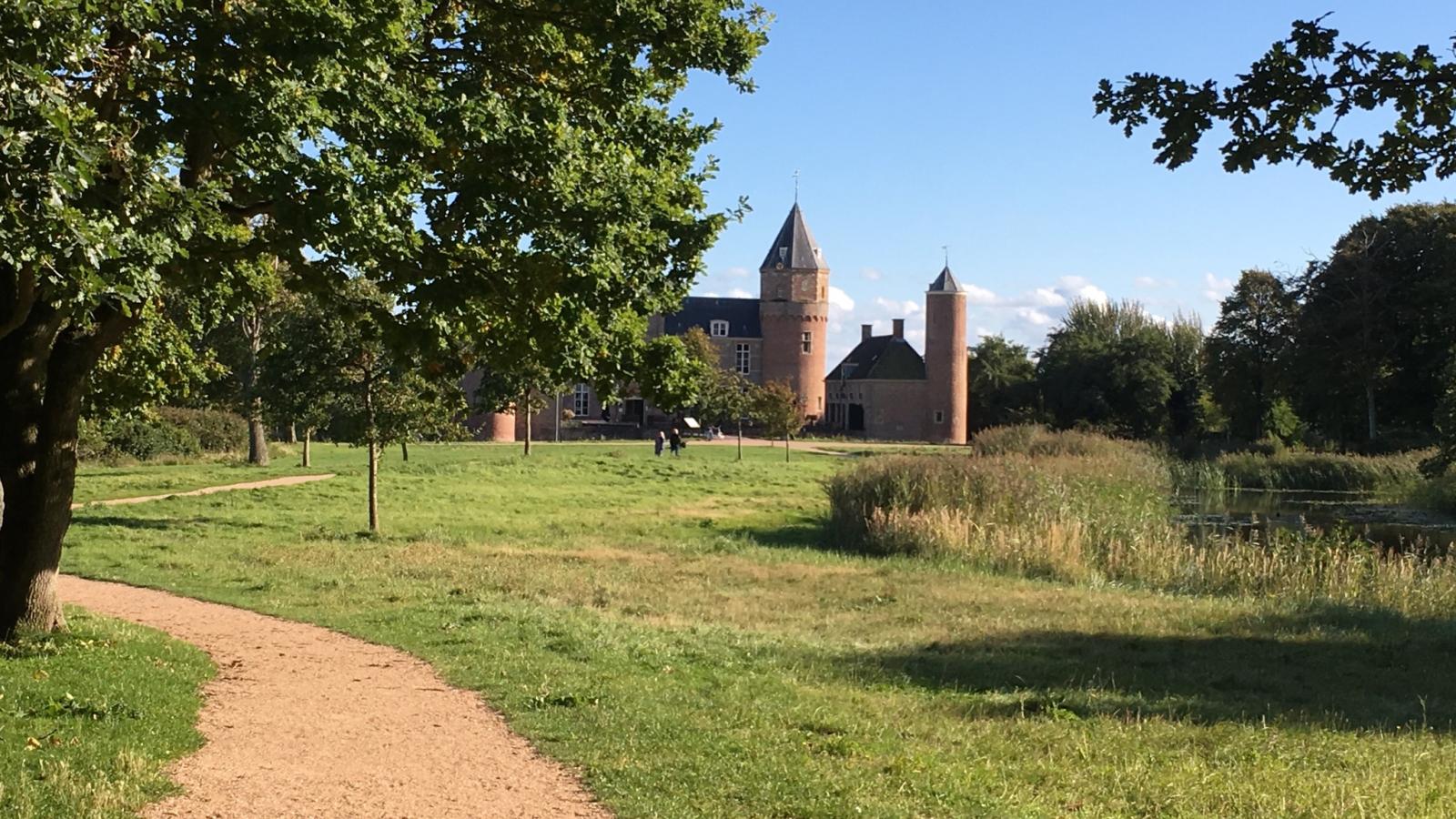 De zomerbij-Gebieden zomer 1km