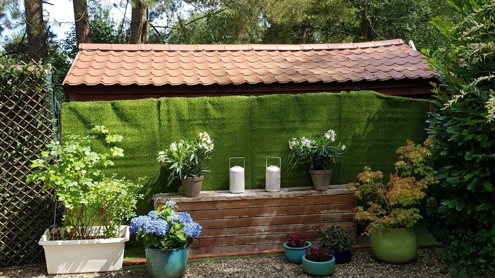 Bungalow Sonnerust-Gardens in summer