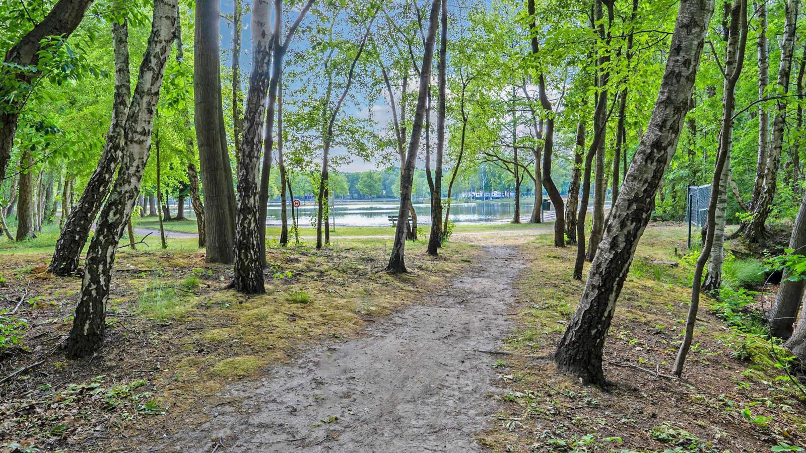 Bungalow Sonnerust-Areas within 1km in summer