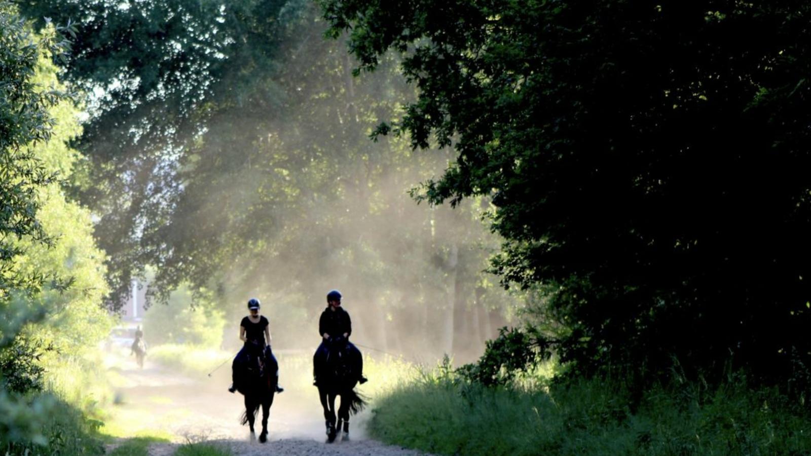 Bungalow Sonnerust-Areas within 1km in summer