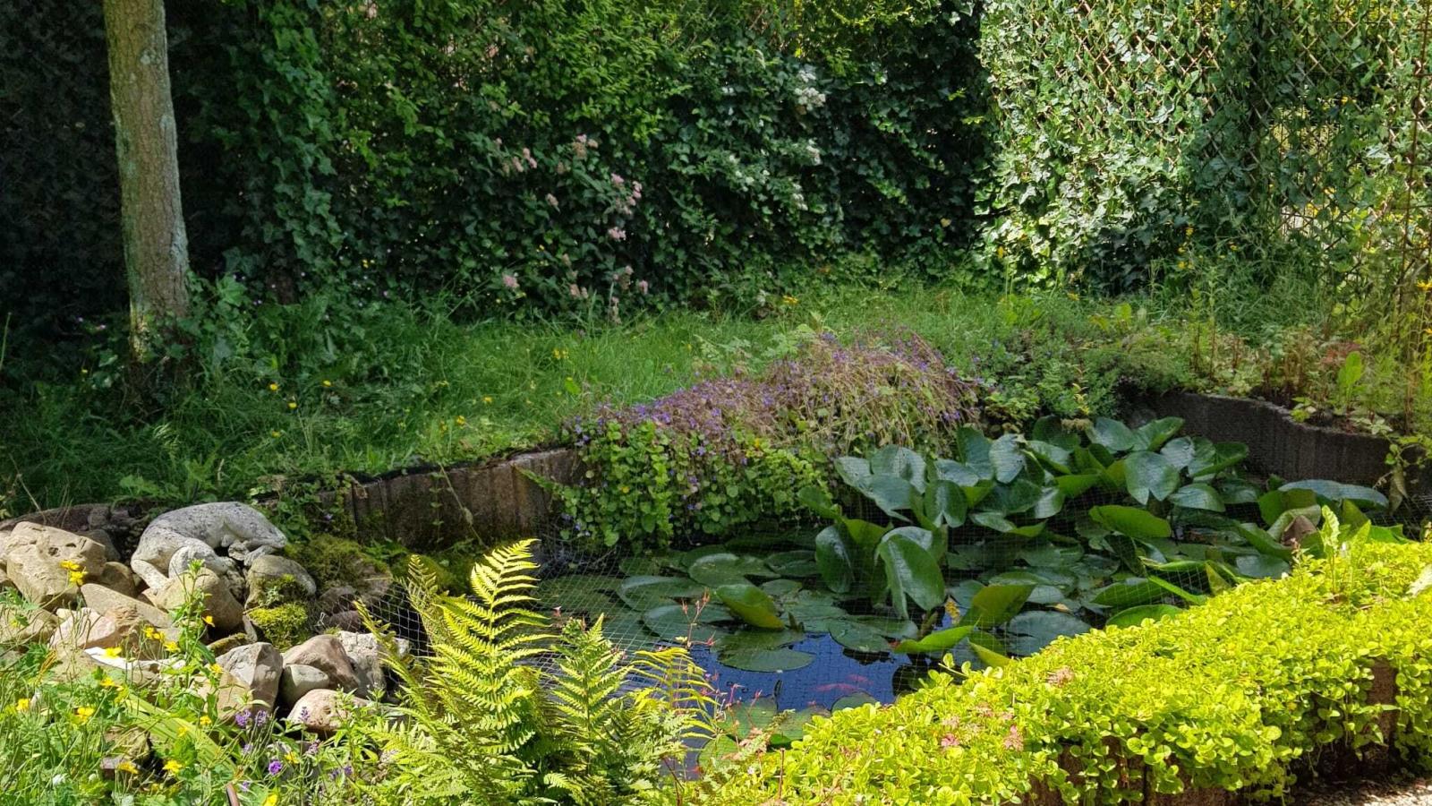 Bungalow Sonnerust-Gardens in summer