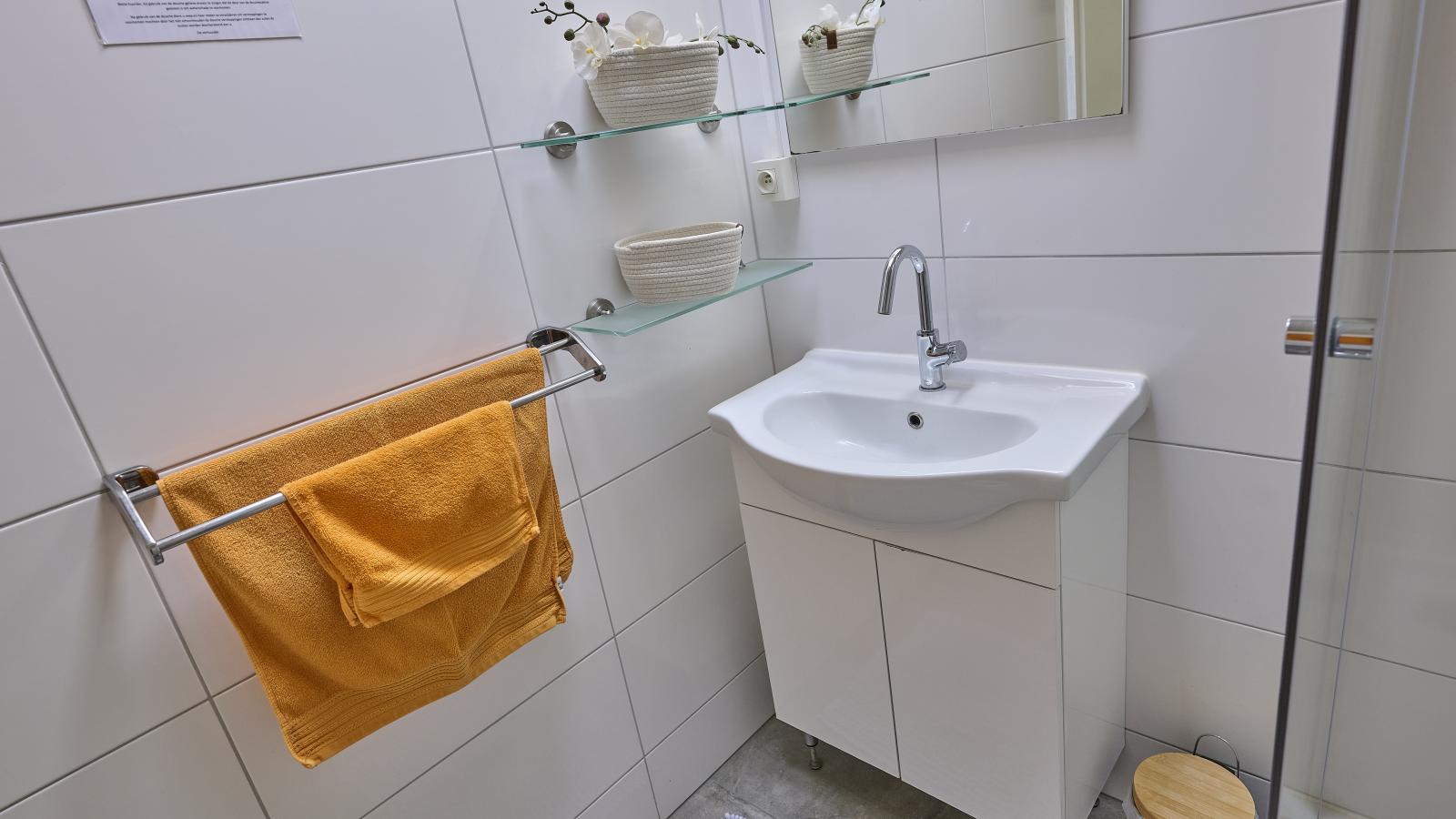 Bungalow Sonnerust - Badkamer