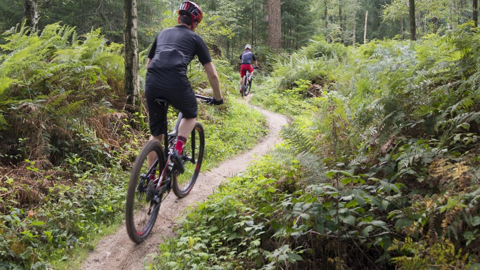 Bungalow Sonnerust-Areas within 1km in summer