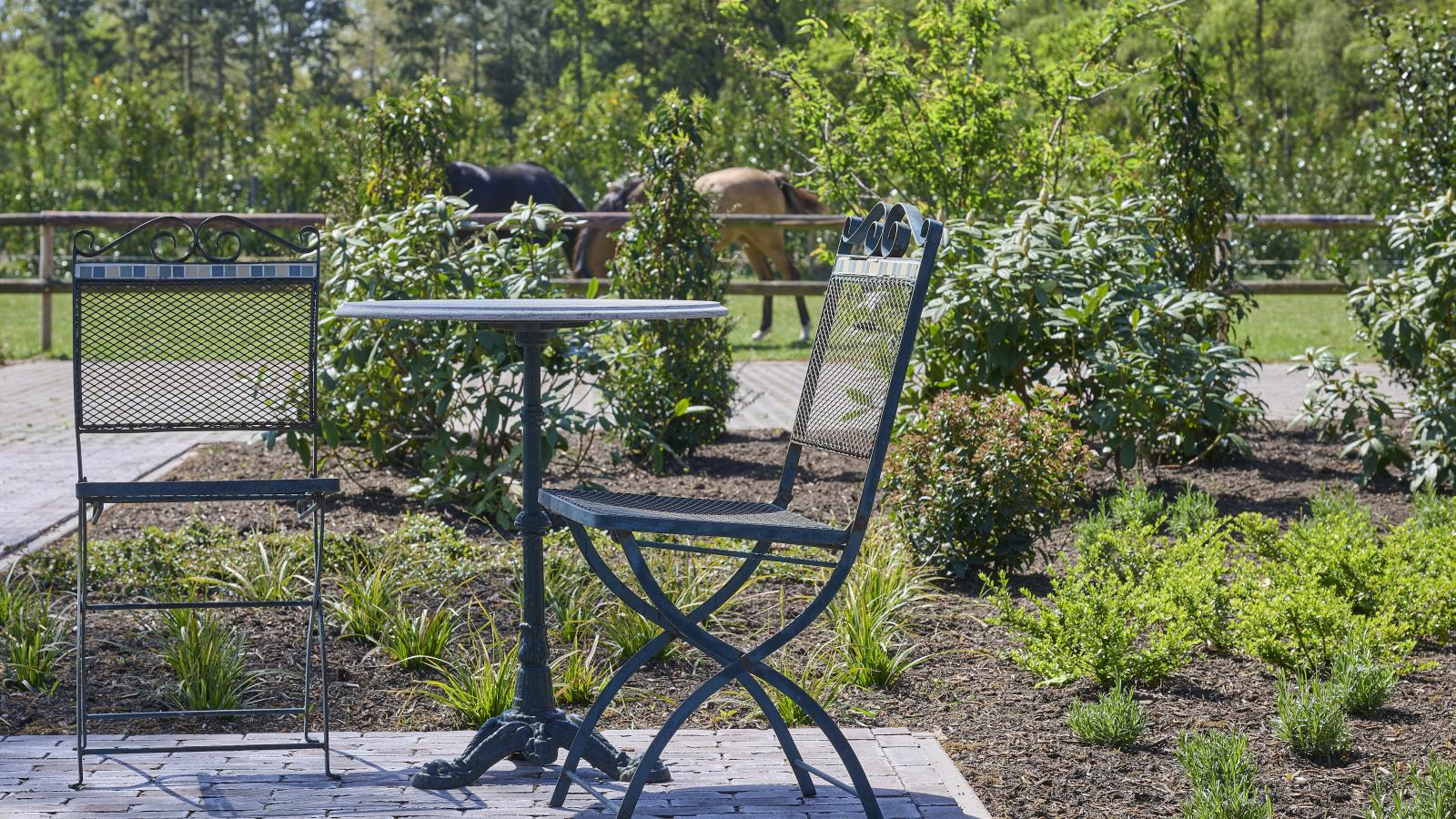 Guesthouse het Koetshuis - Terrasse / balcon