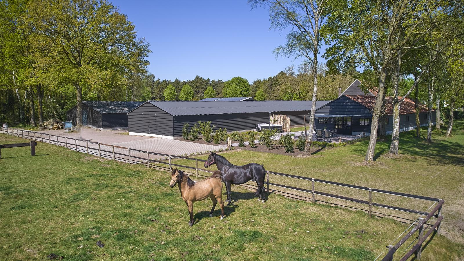 Guesthouse het Koetshuis - Jardins en été