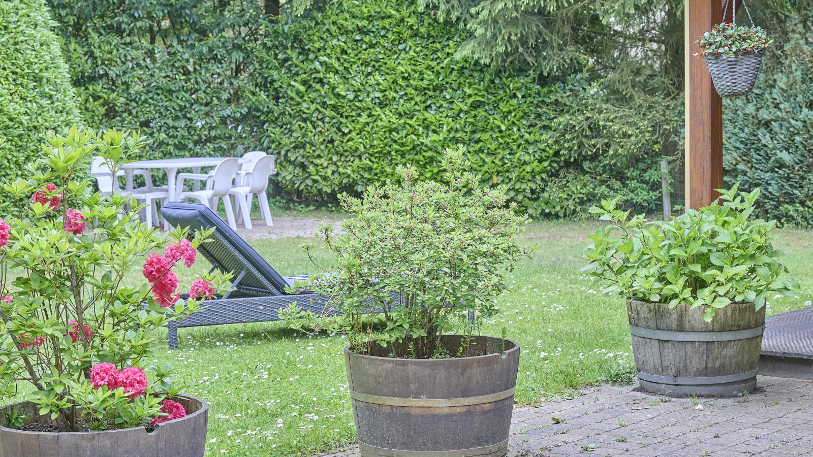 Gouden Weide - Tuinen zomer