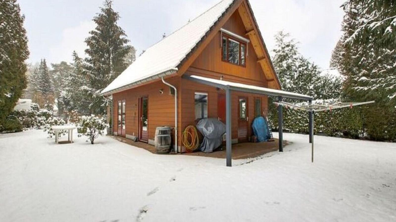 Gouden Weide - Tuin winter
