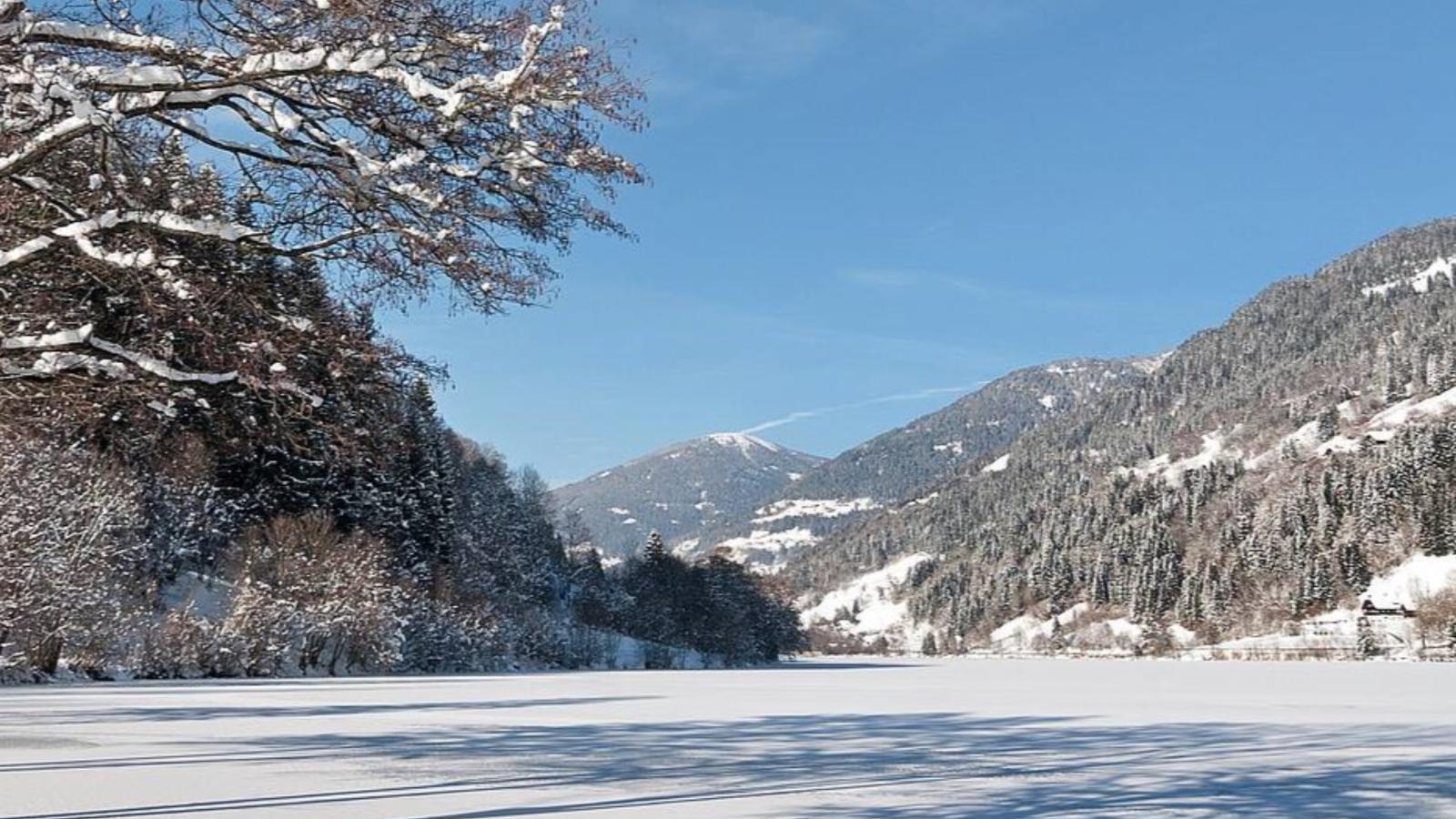 Alpenruhe - Gebied winter 1km