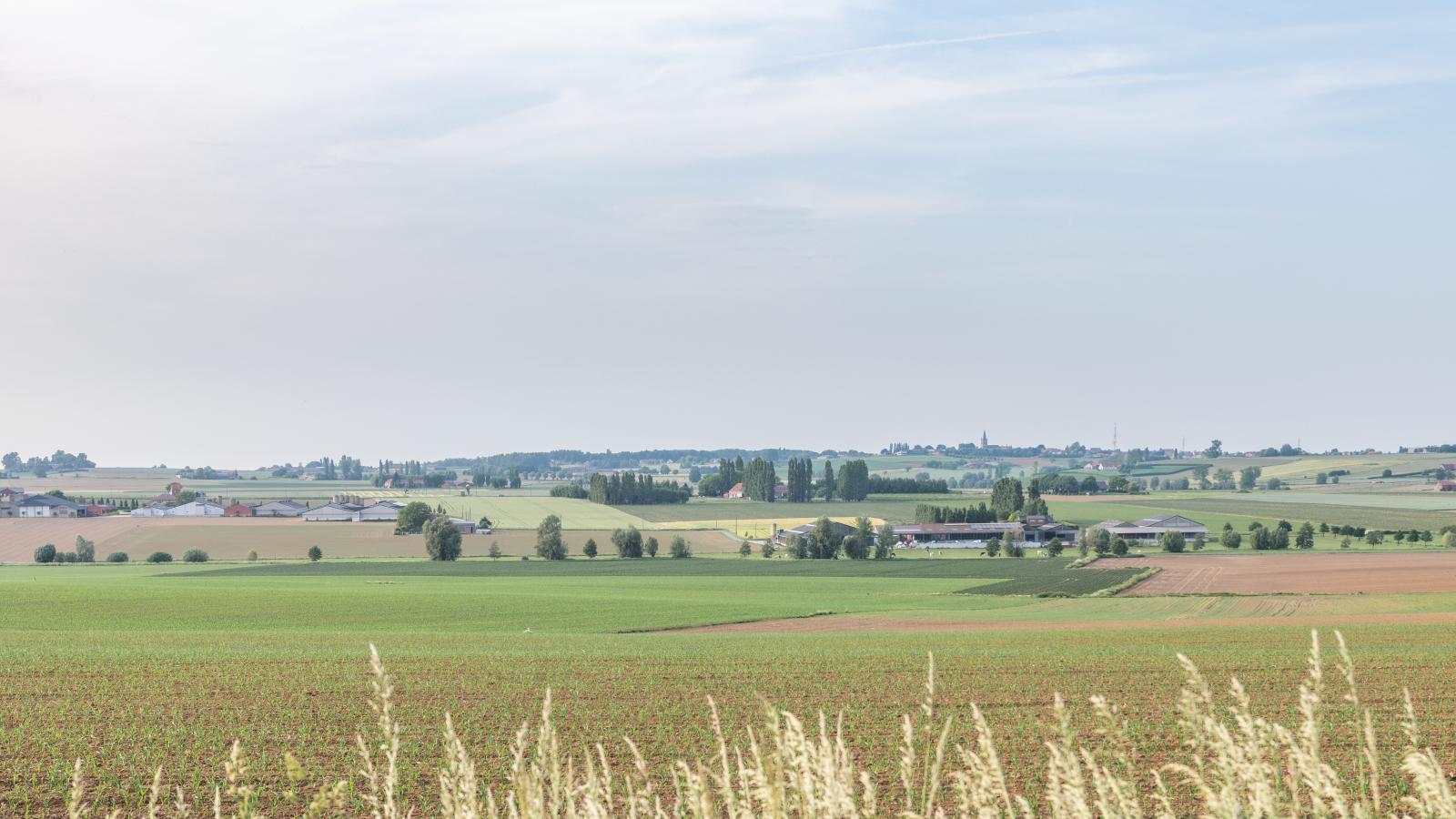 Rozenberghoeve - Aussicht
