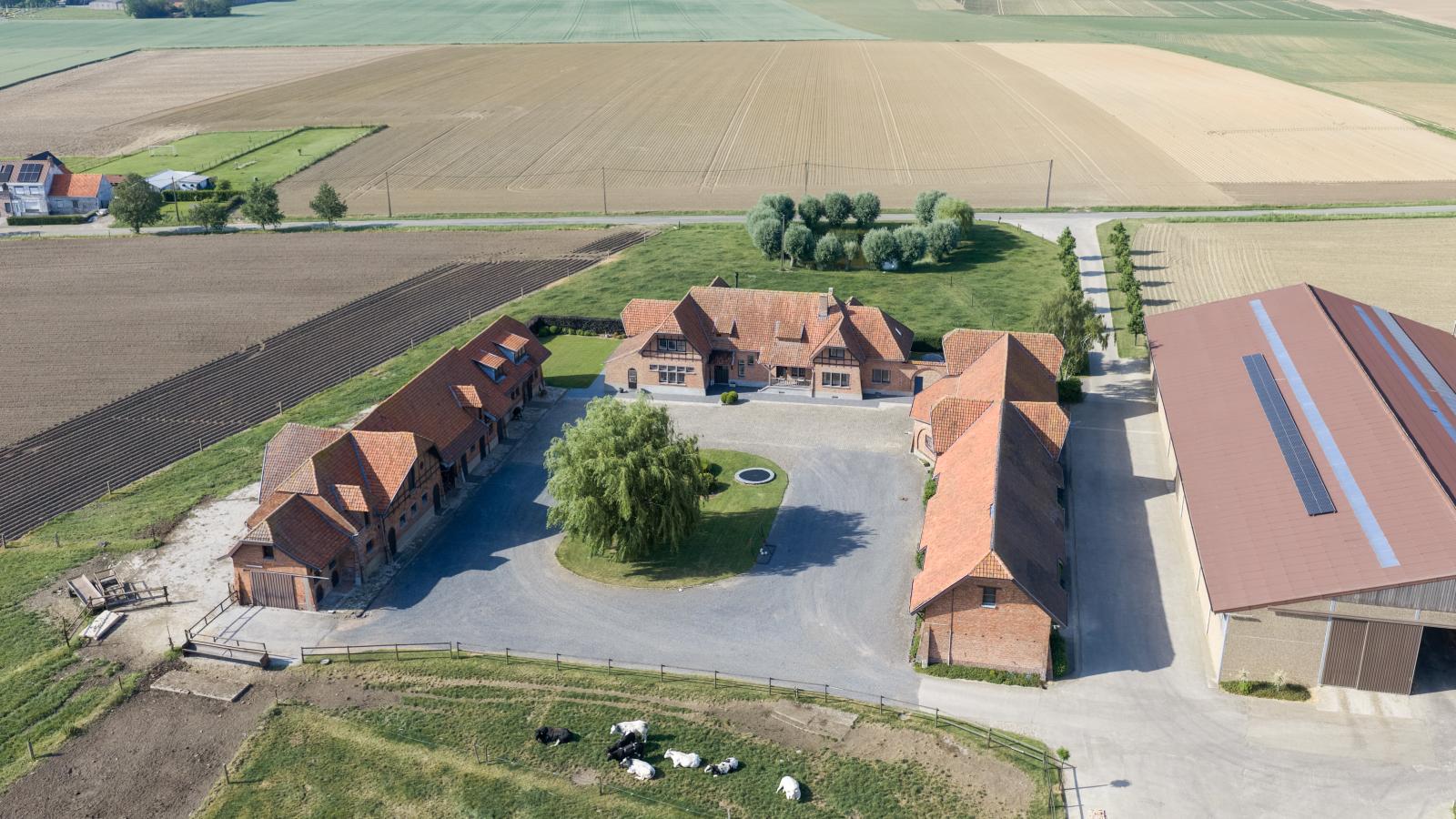 Rozenberghoeve - Aussicht Sommer