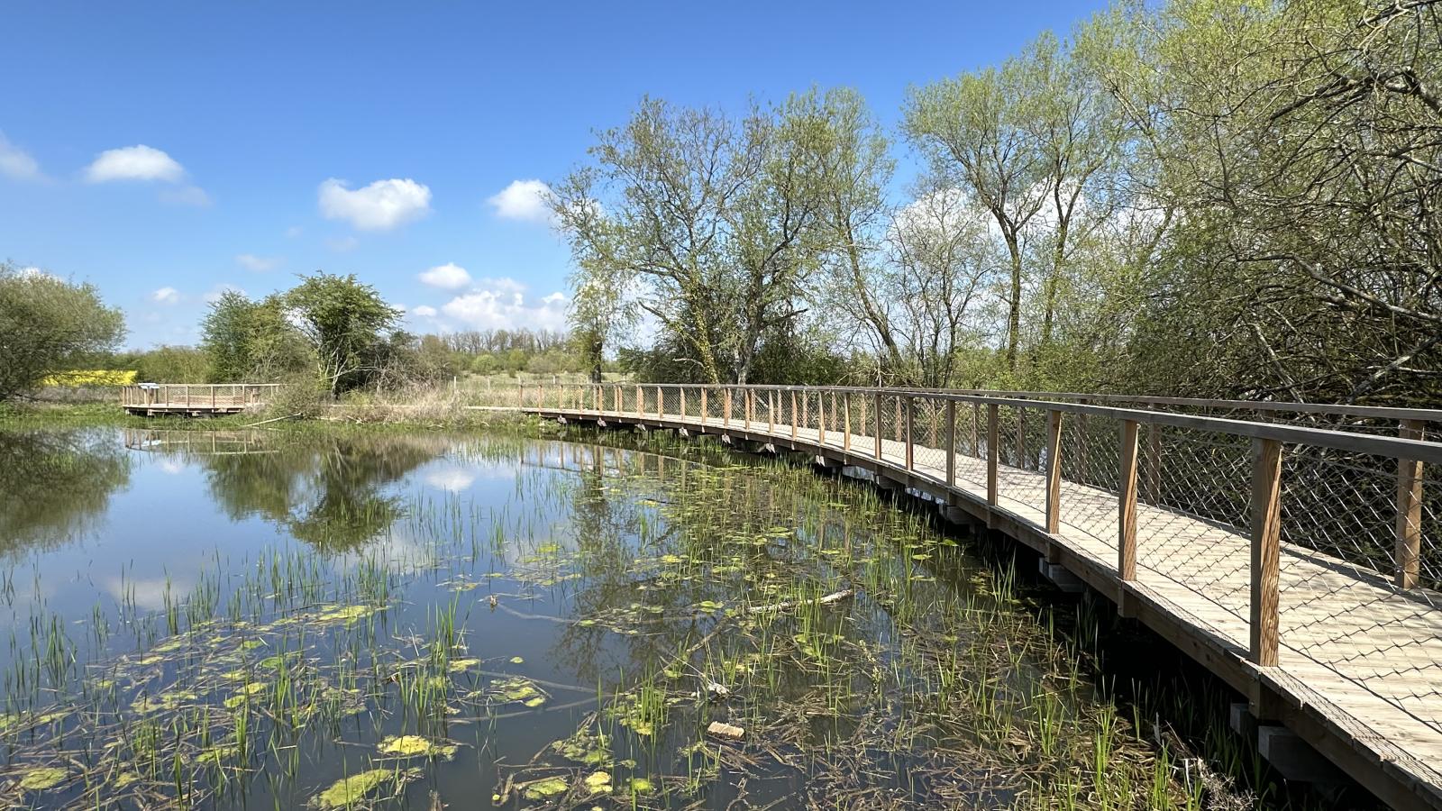 Le Grenier de Louise