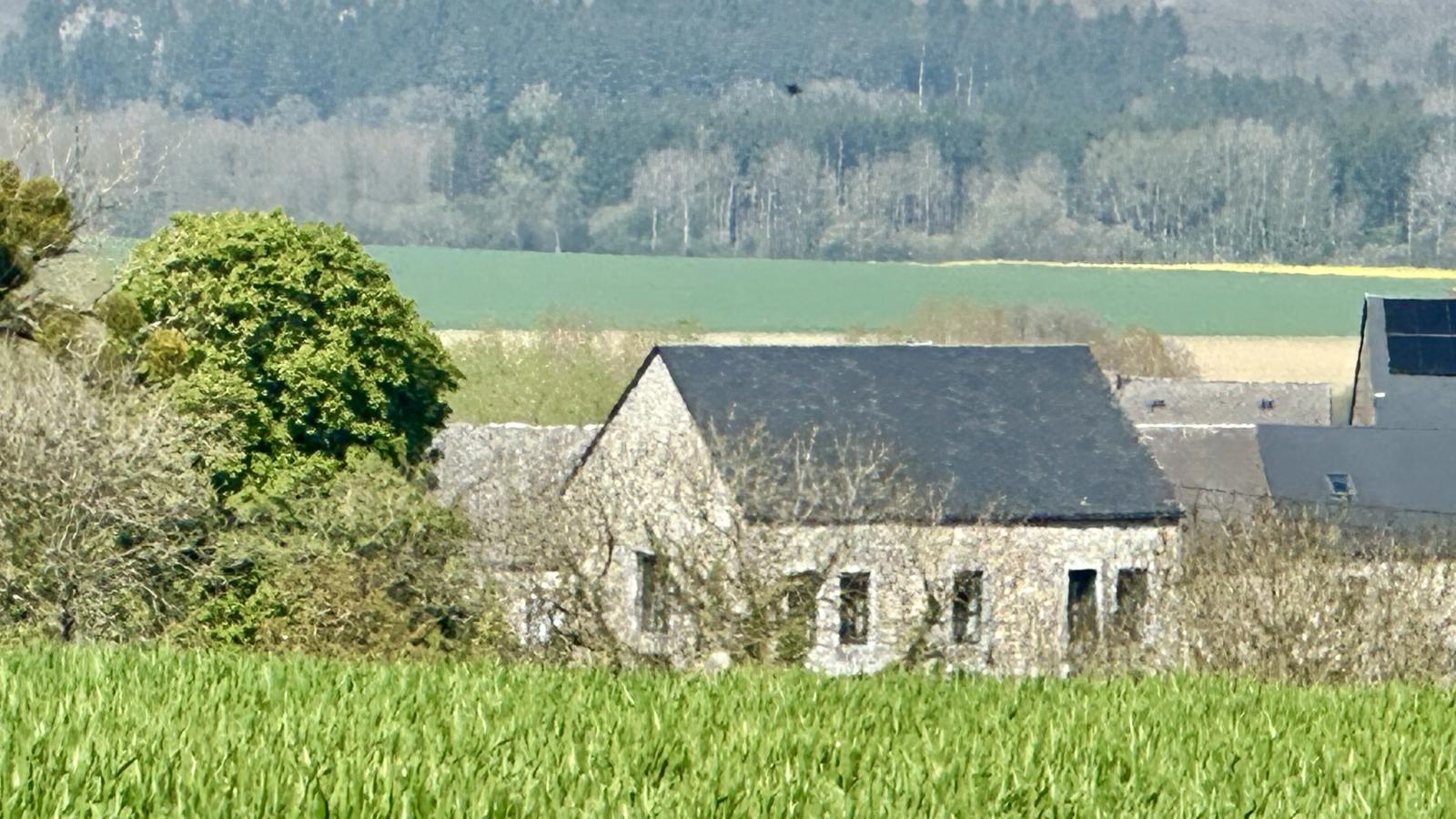 Le Grenier de Louise - Exterior in summer
