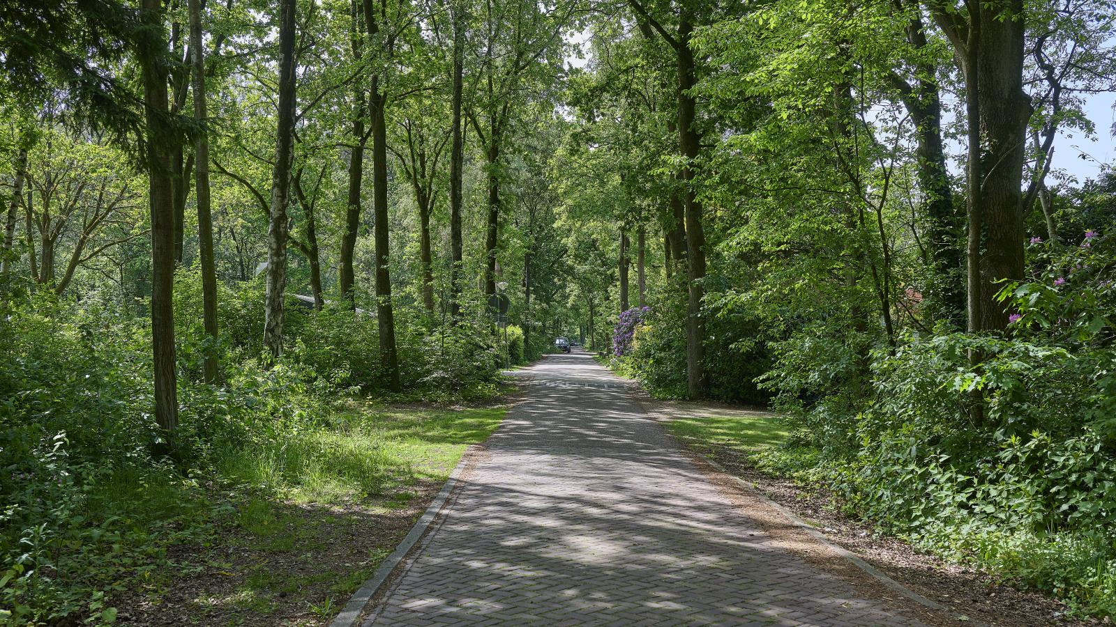 Brabants licht - Zones été à 1 km