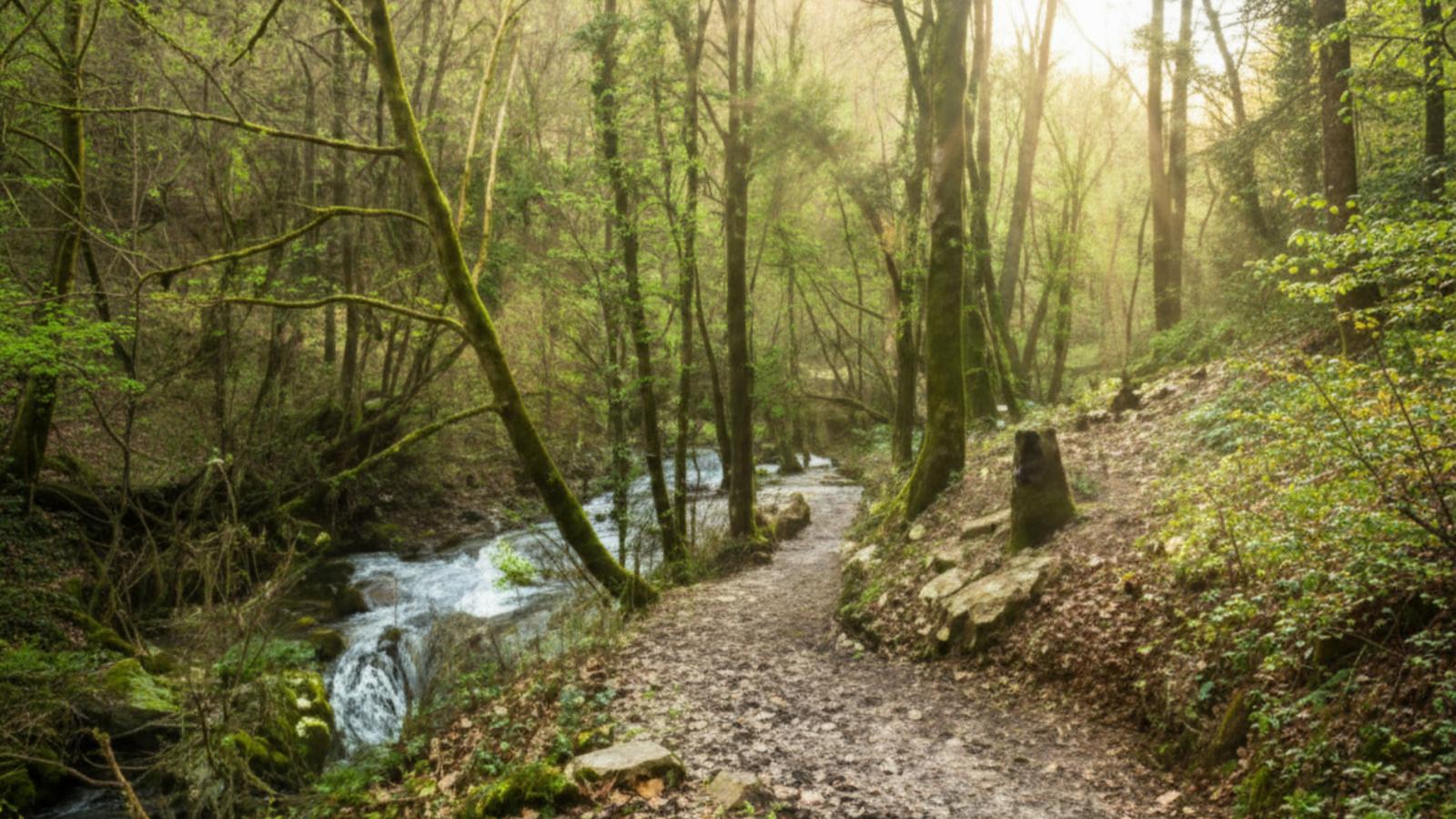 Lac Bleu nr 18 - Areas within 5km in summer