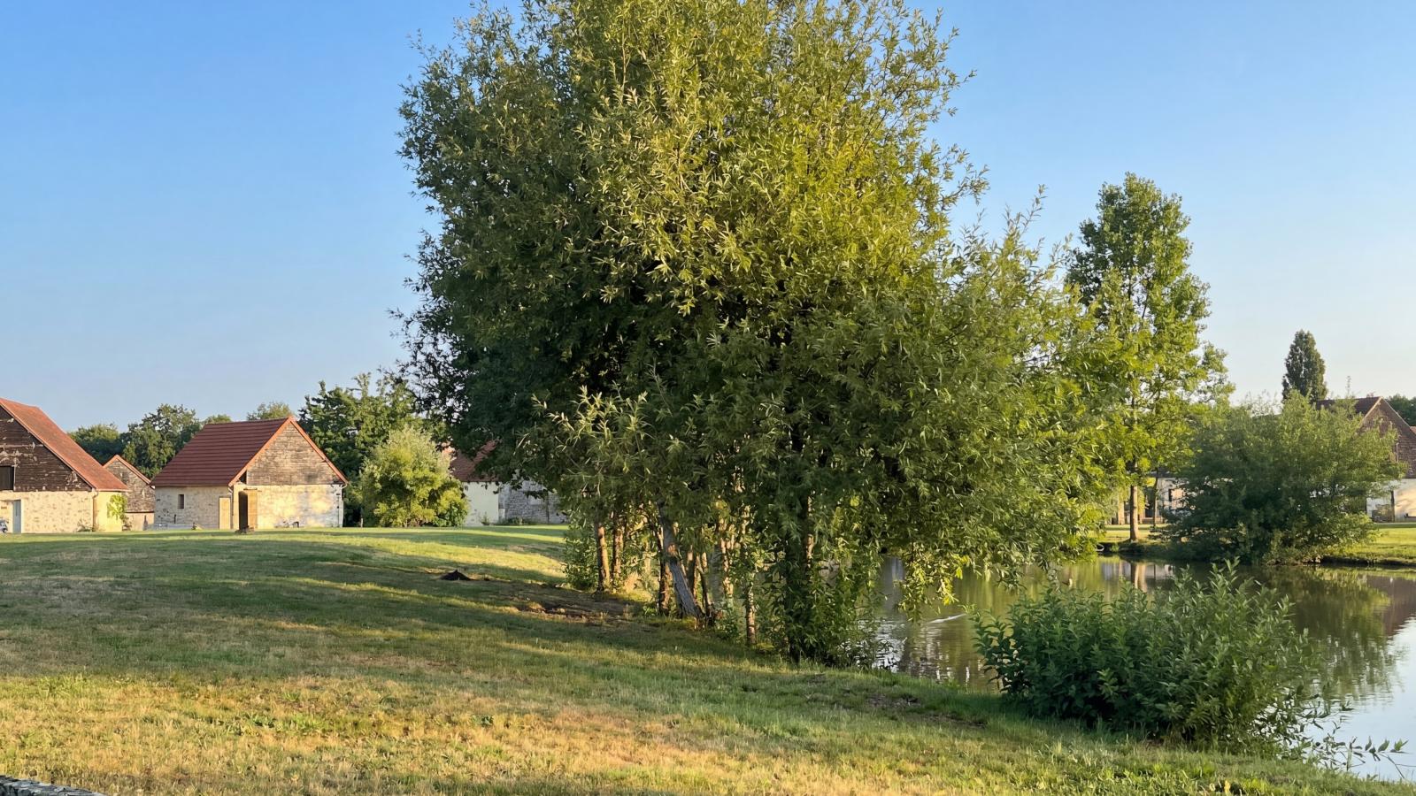 Lac Bleu nr 18 - View in summer