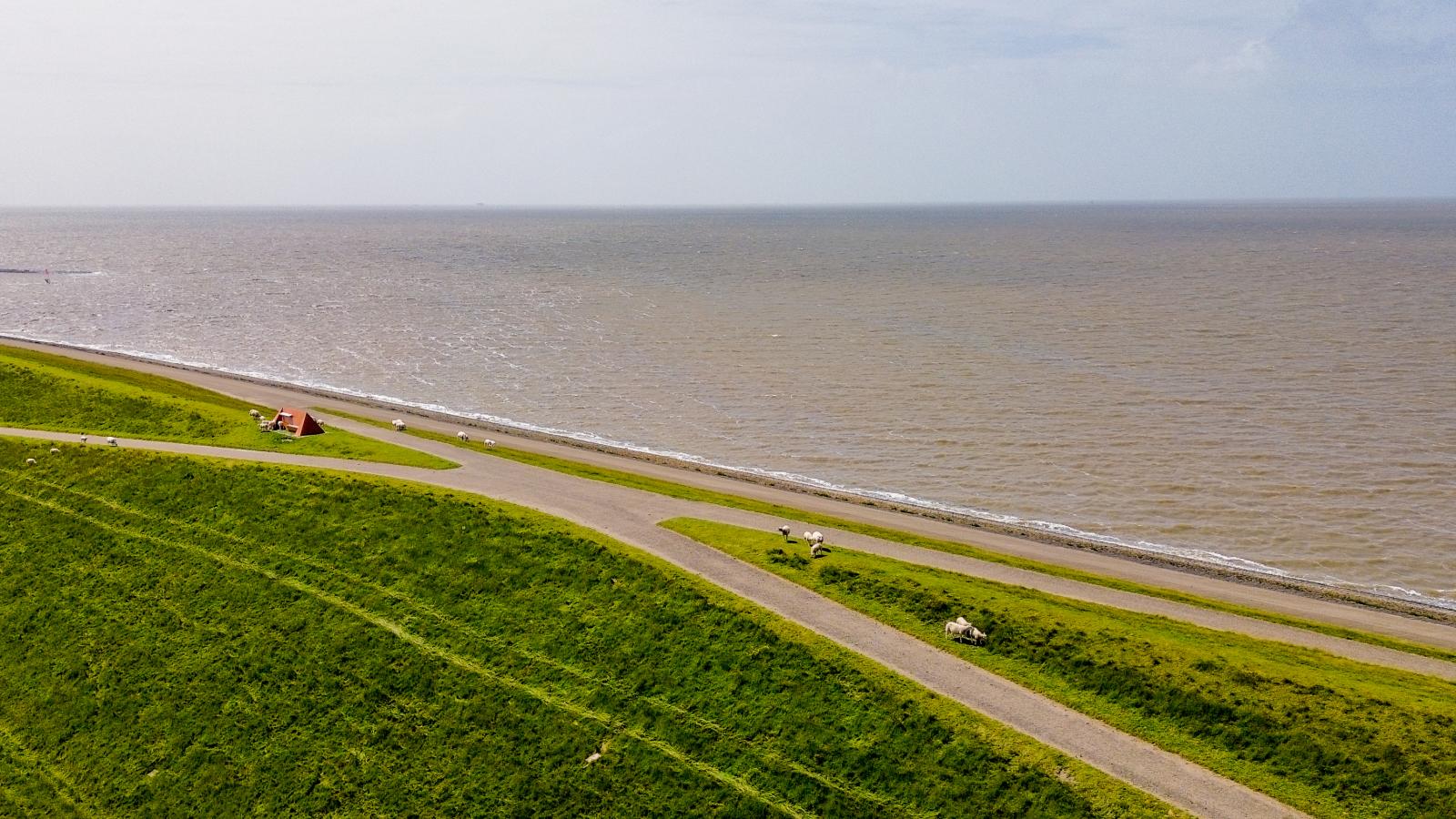 De Sedyk - Gebieden zomer 1km