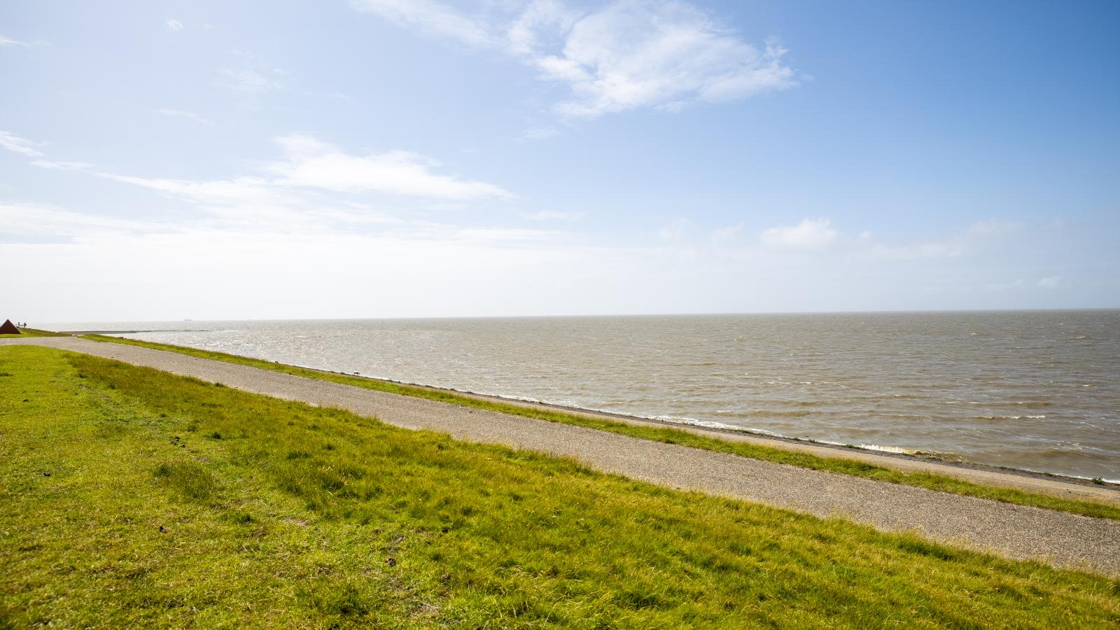 De Sedyk - Gebieden zomer 1km