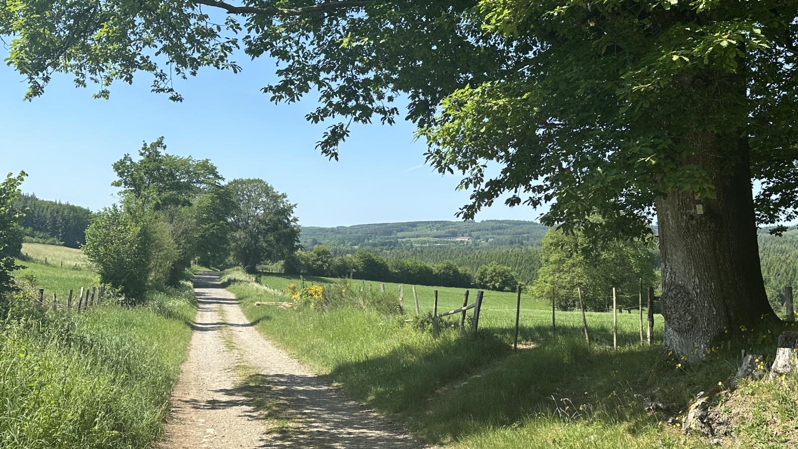 Le Noyer - Gebiete Sommer 5 km