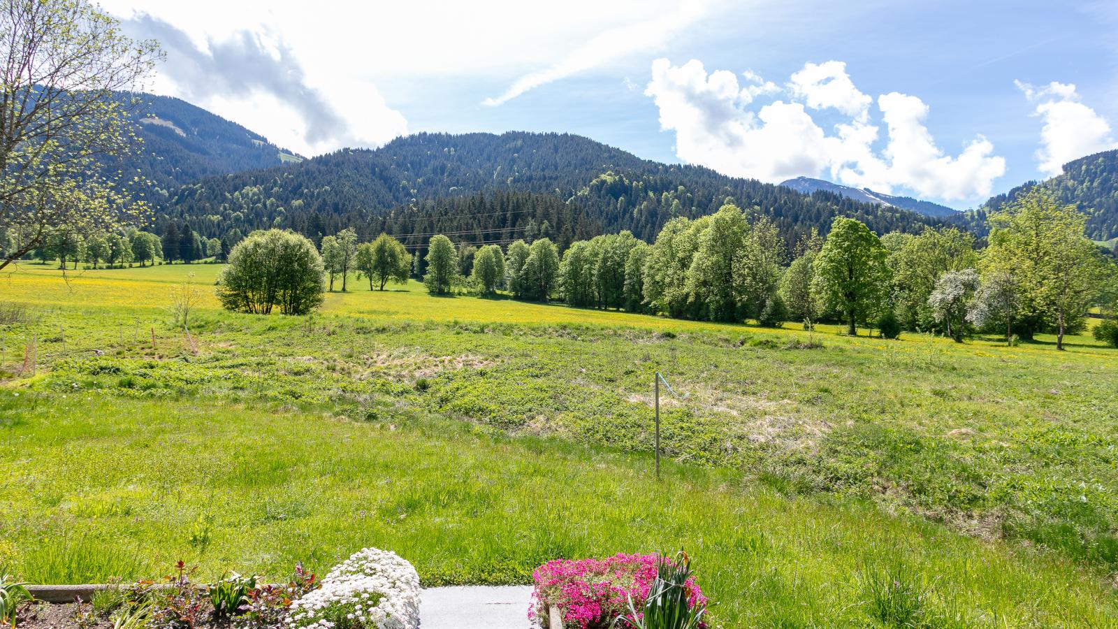 Das Bergnest Salvenblick - View in summer