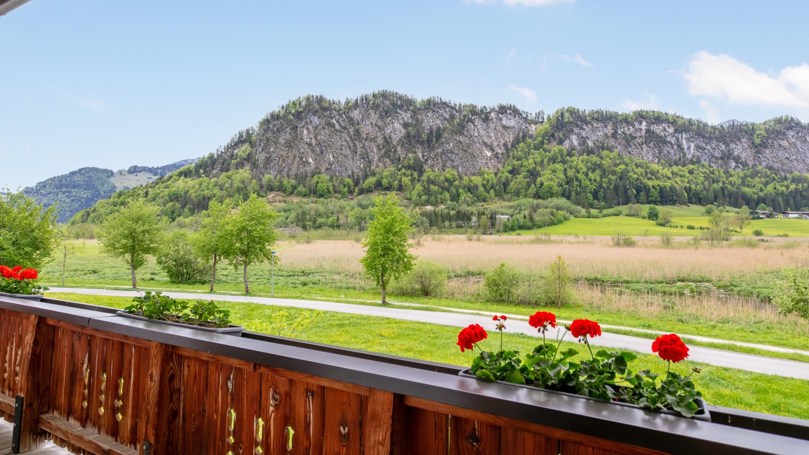 Marschbachhof Ferienwohung 1 - Uitzicht zomer
