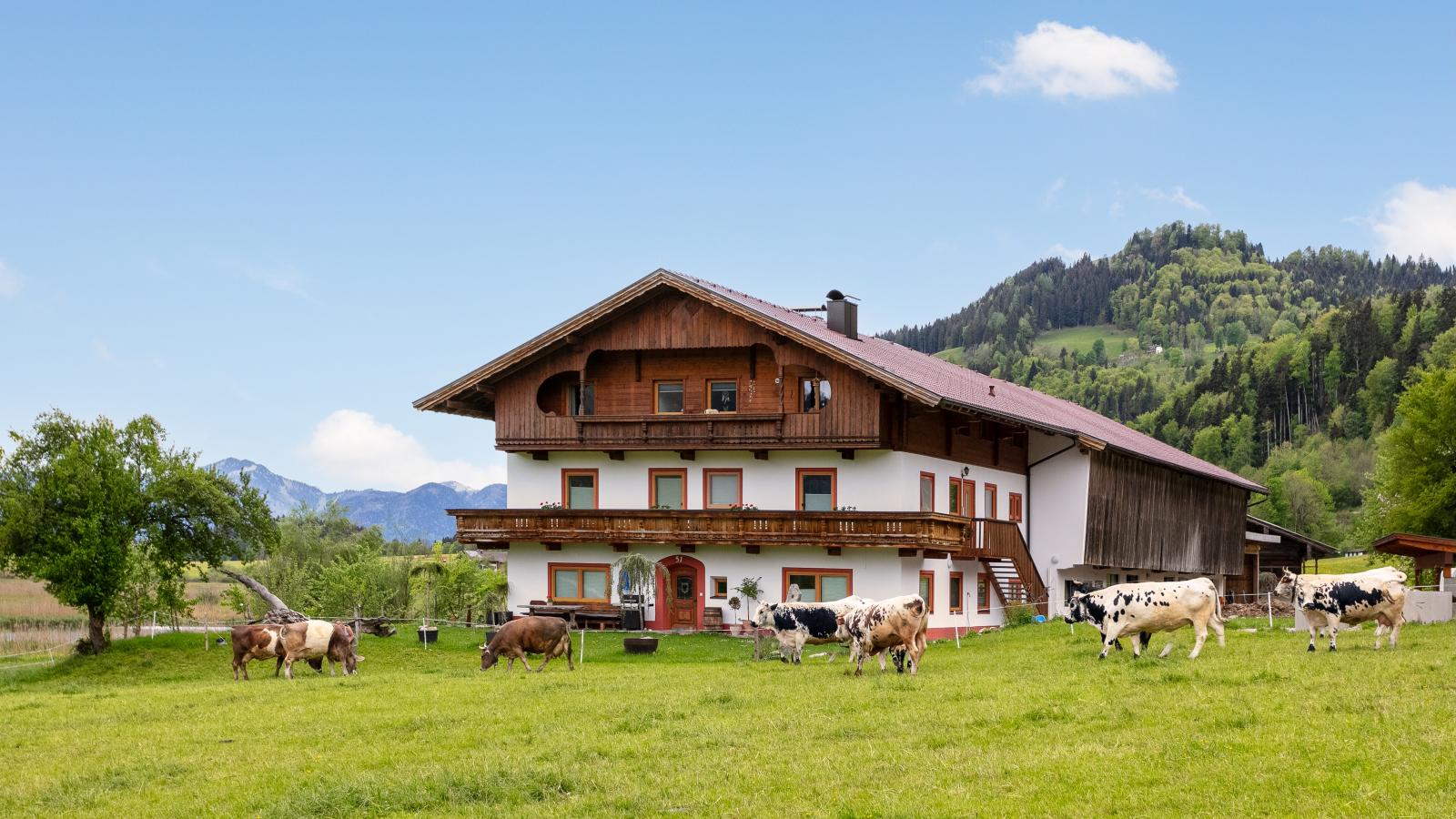 Marschbachhof Ferienwohung 1 - Buitenkant zomer