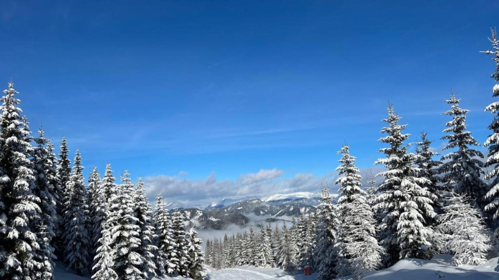 Landhaus Alpenblick Grebenzen - Gebiet Winter 5 km