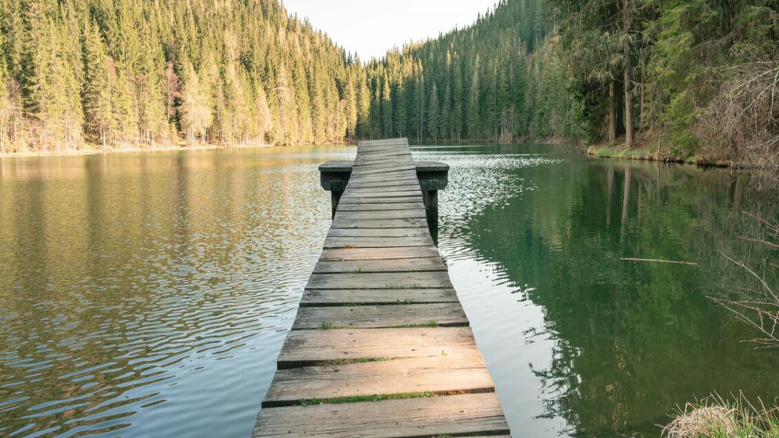 Landhaus Alpenblick Grebenzen - Gebiete Sommer 5 km