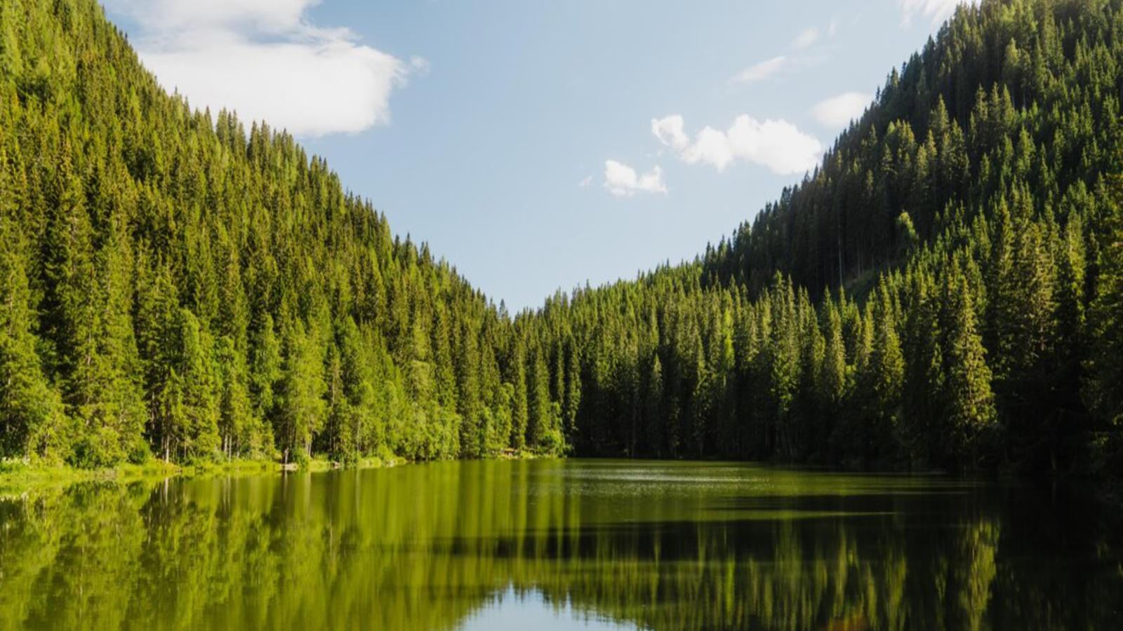Landhaus Alpenblick Grebenzen