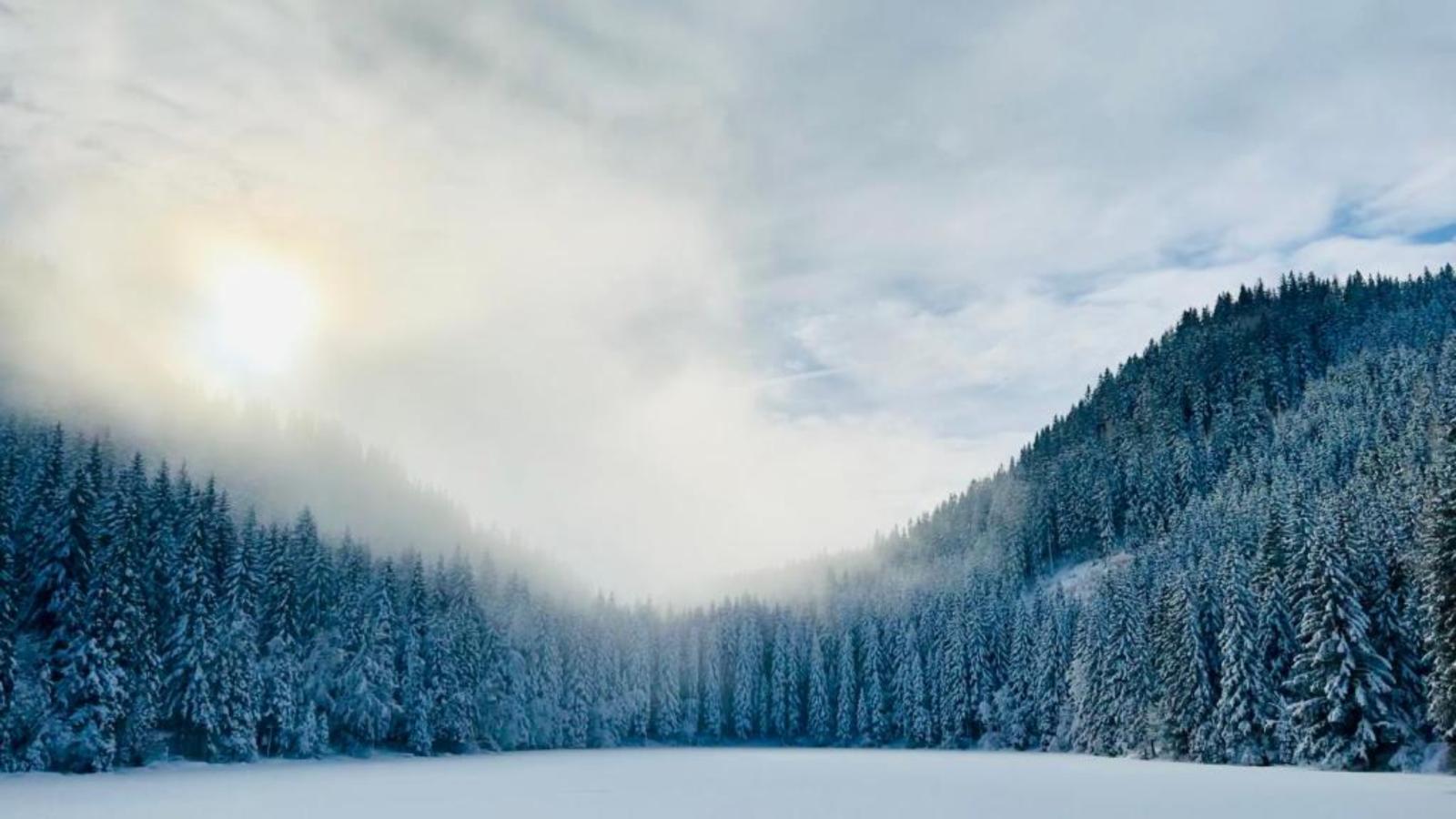 Landhaus Alpenblick Grebenzen - Gebiet Winter 5 km