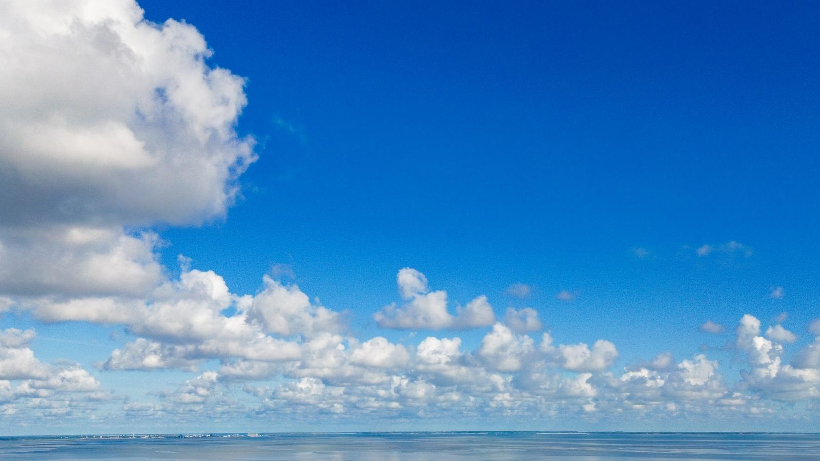 Limosa - Gebieden zomer 1km