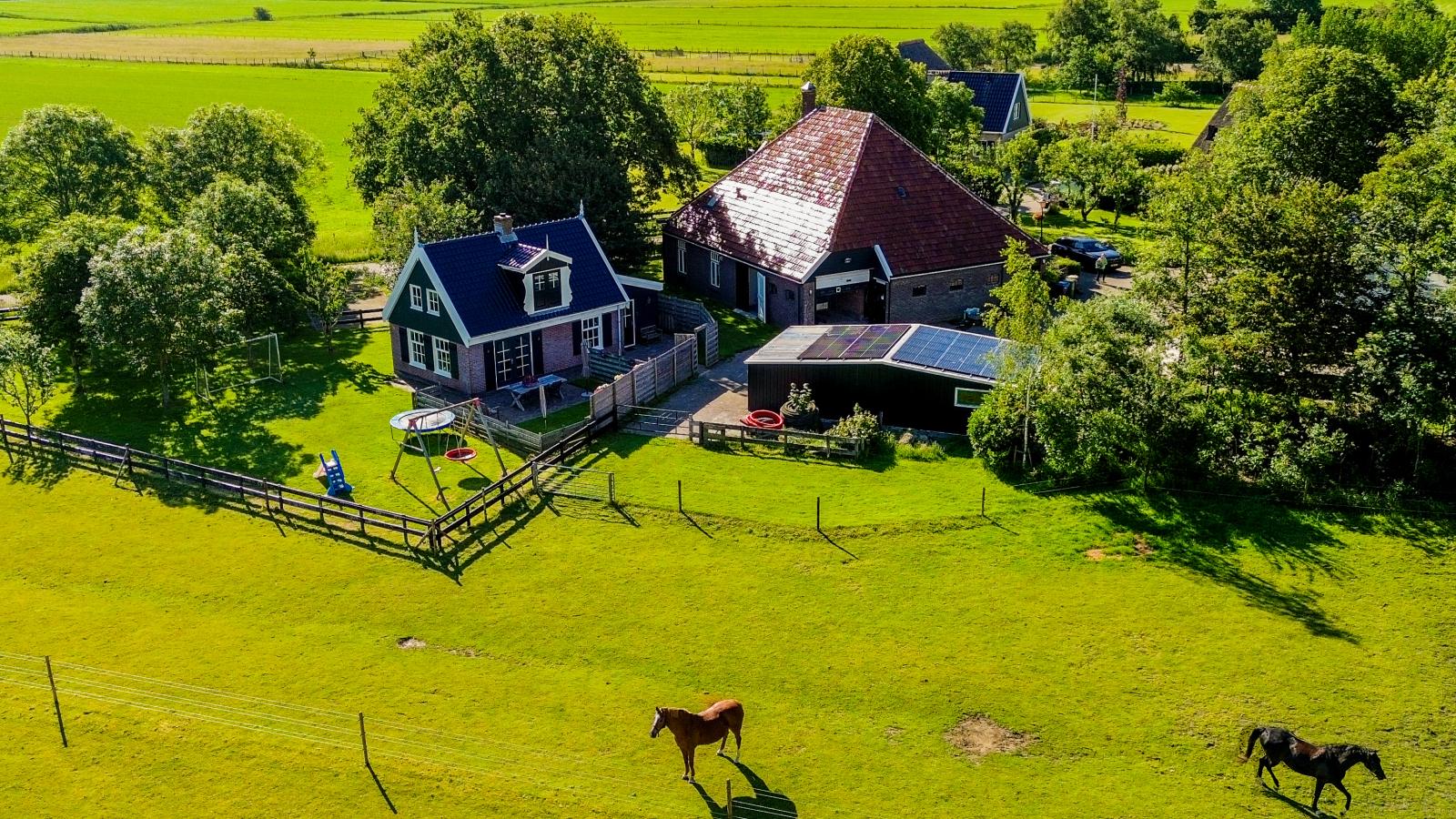 Limosa - Buitenkant zomer